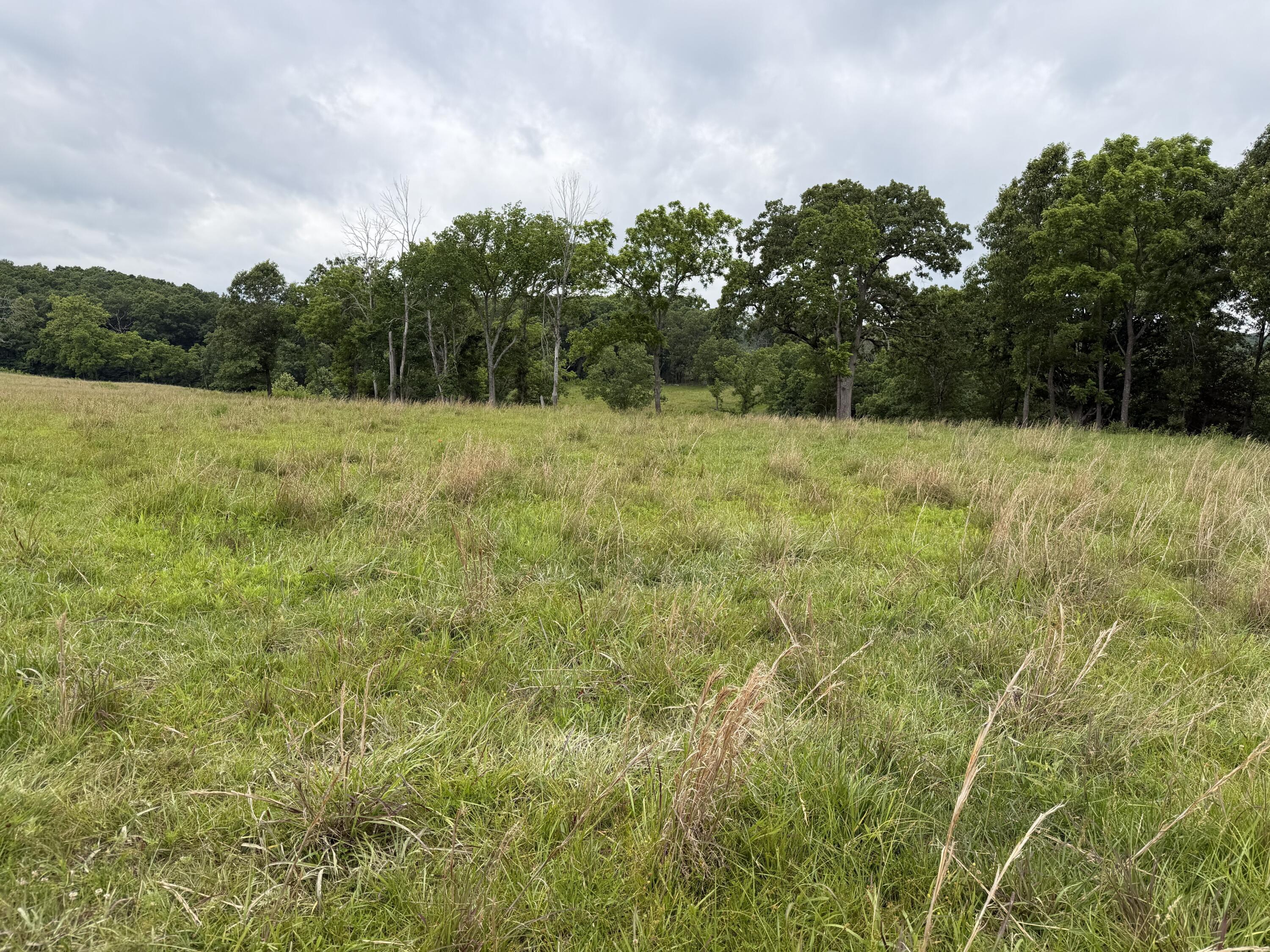 Photo 30 - Farm for sale – 000  N Highway   Squires, MO