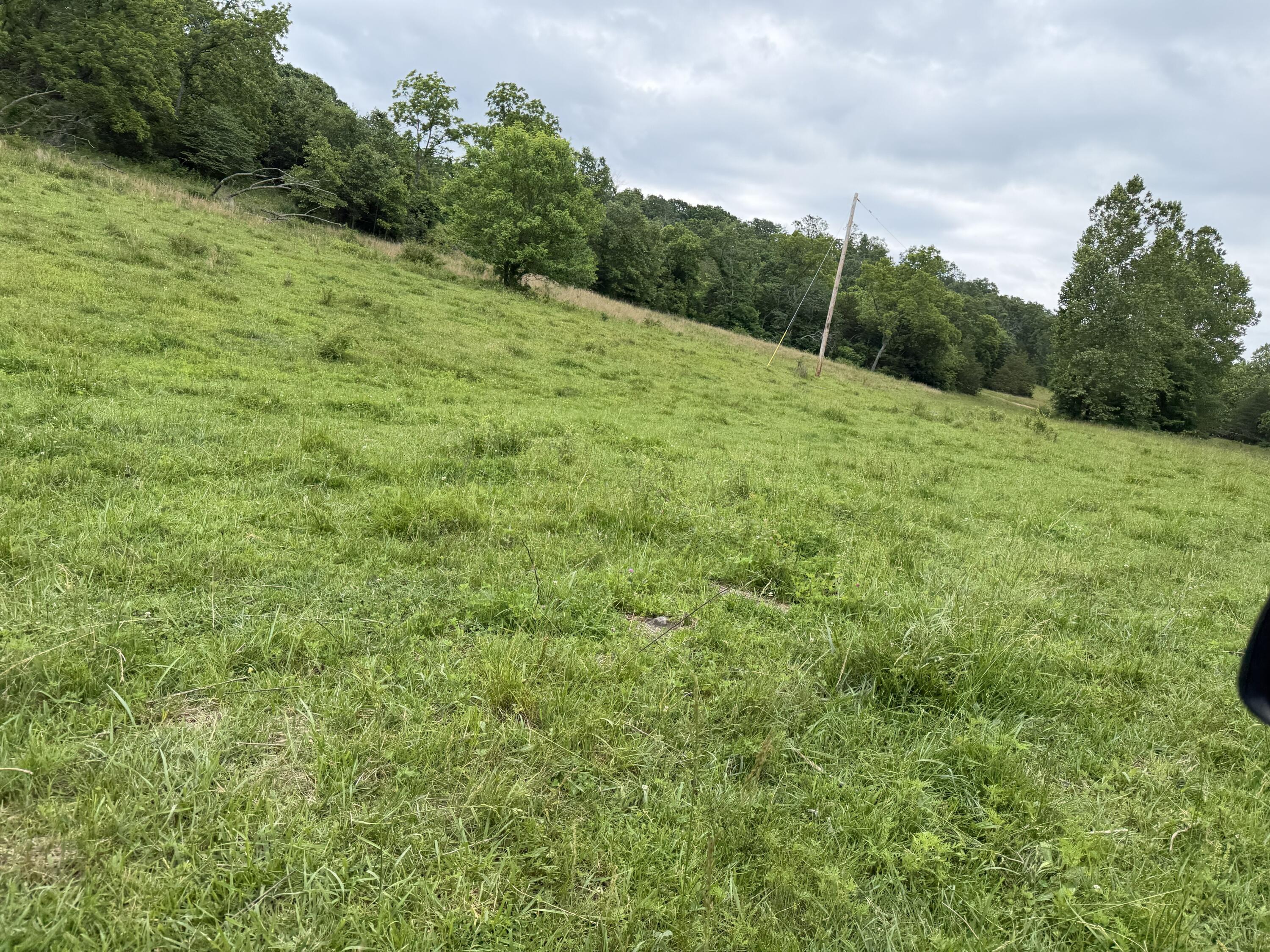 Photo 39 - Farm for sale – 000  N Highway   Squires, MO