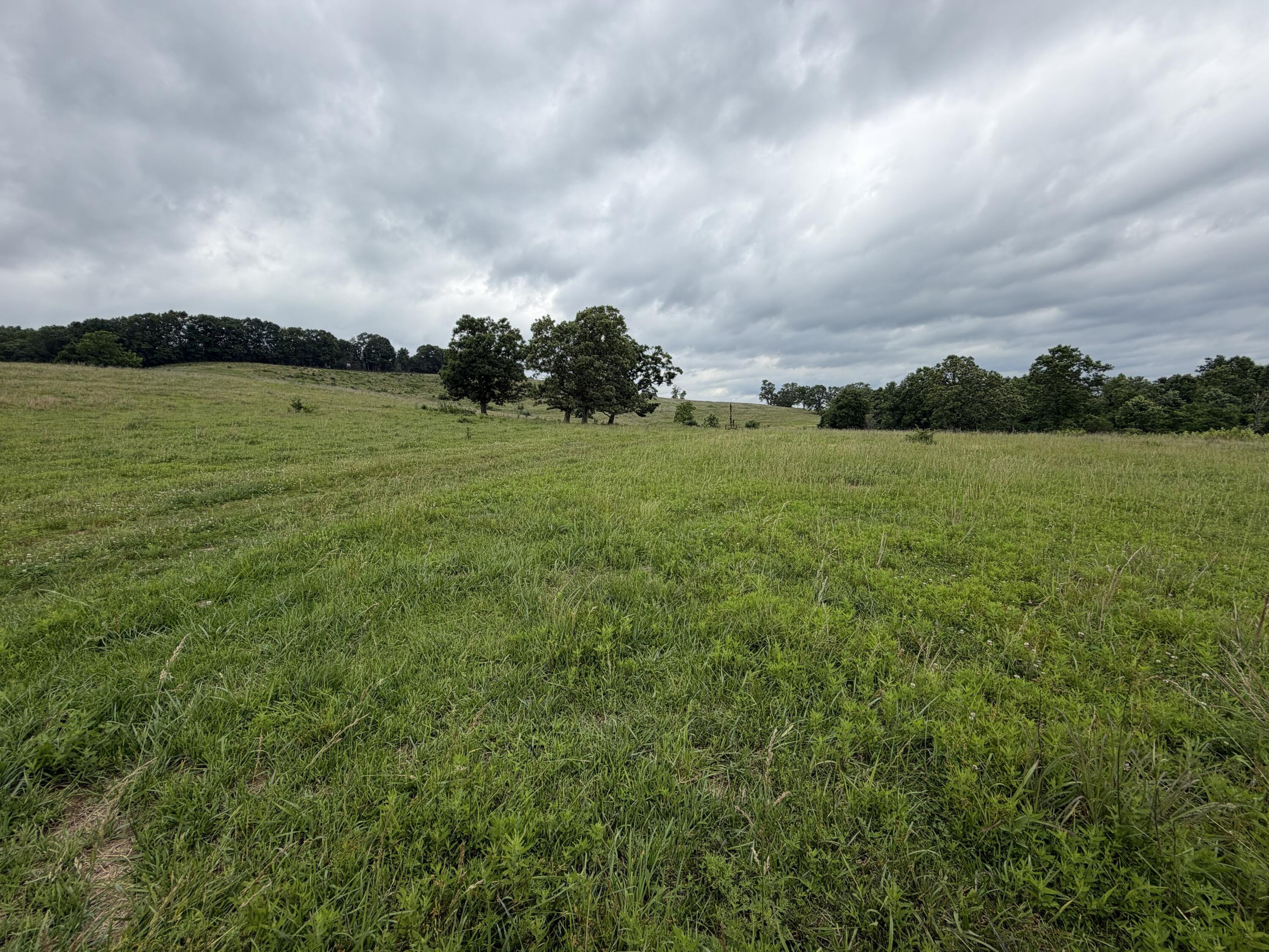Photo 5 - Farm for sale – 000  N Highway   Squires, MO