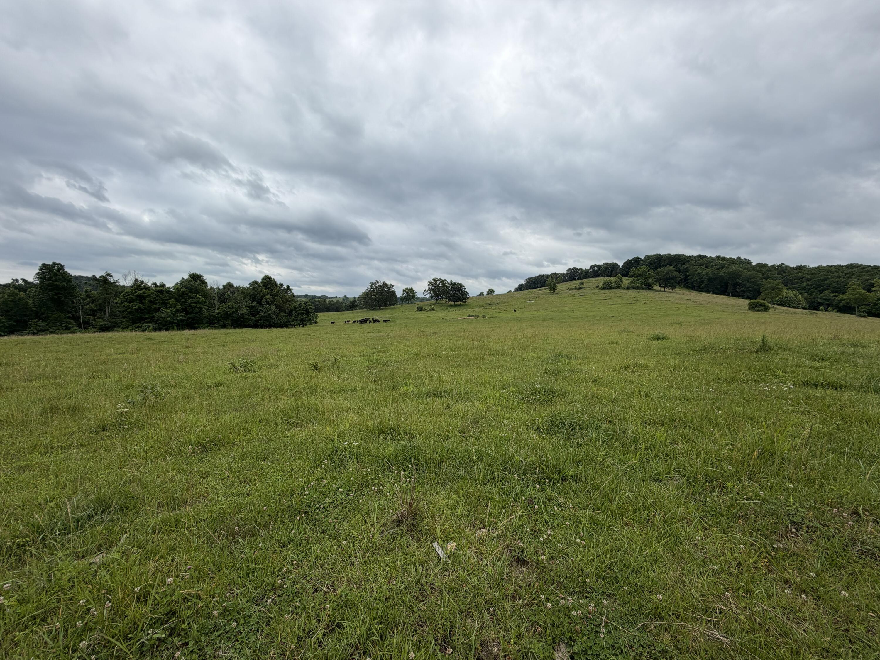 Photo 27 - Farm for sale – 000  N Highway   Squires, MO