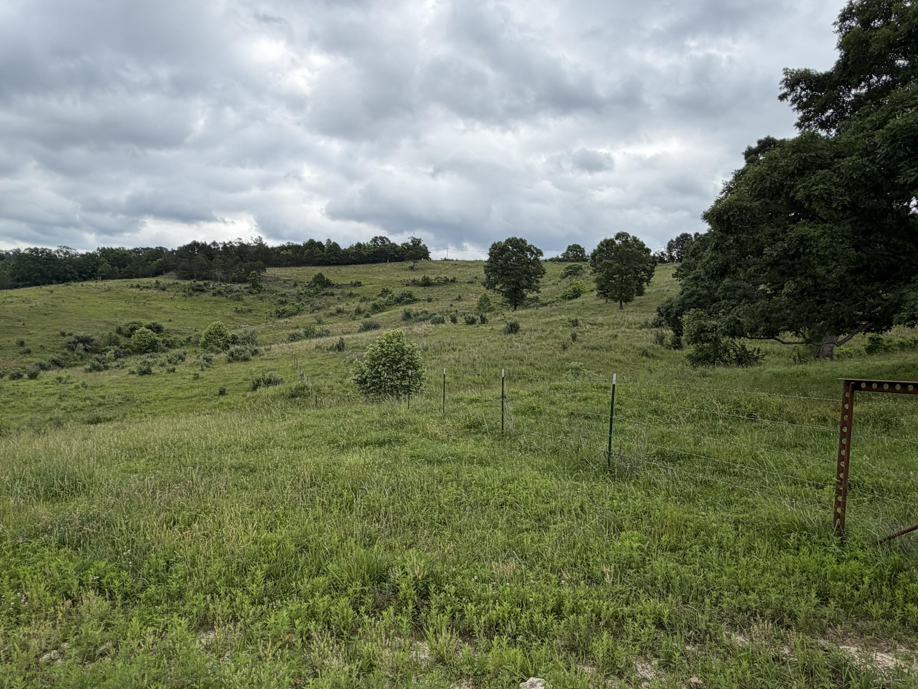 Photo 12 - Farm for sale – 000  N Highway   Squires, MO