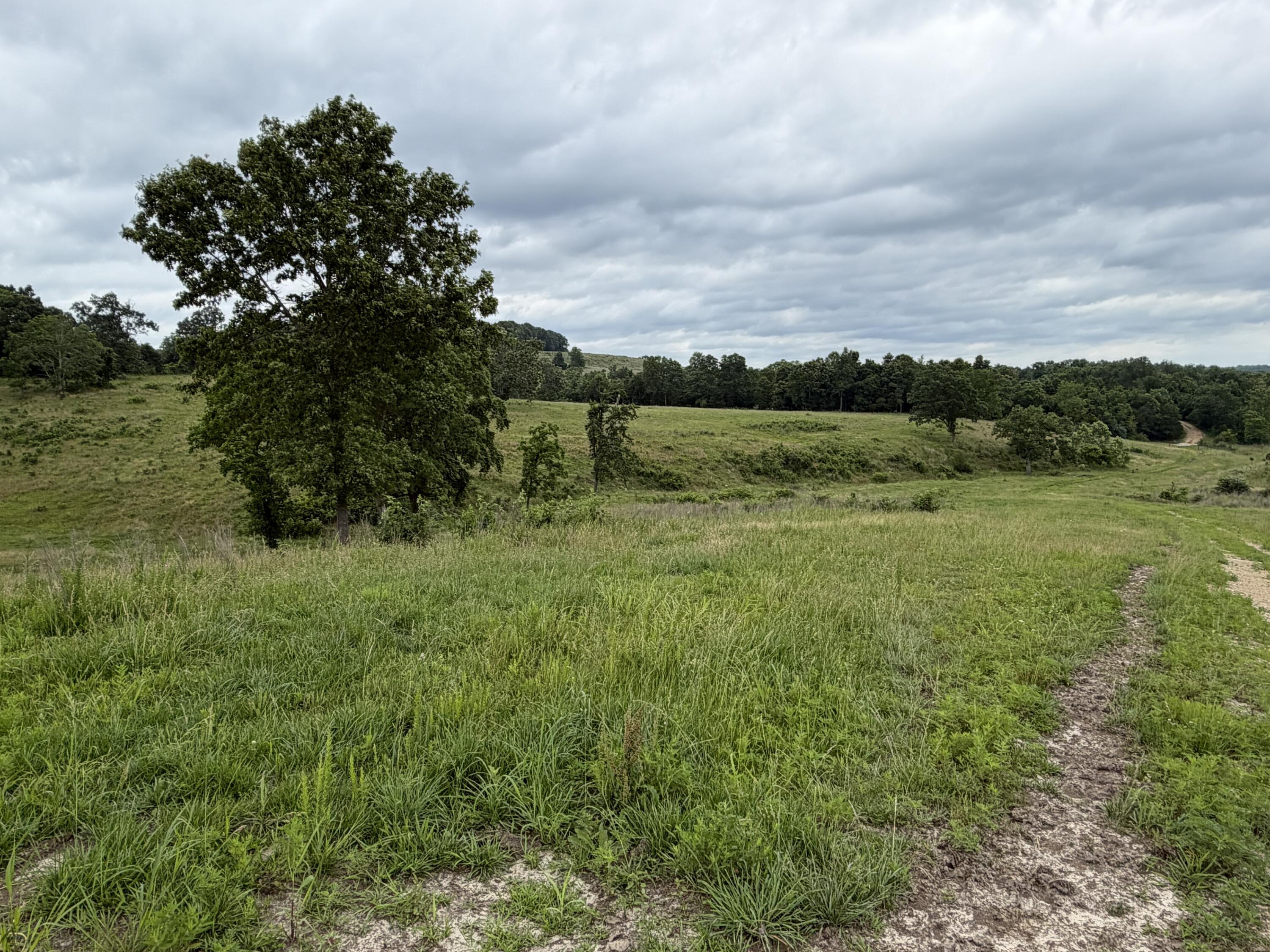 Photo 15 - Farm for sale – 000  N Highway   Squires, MO