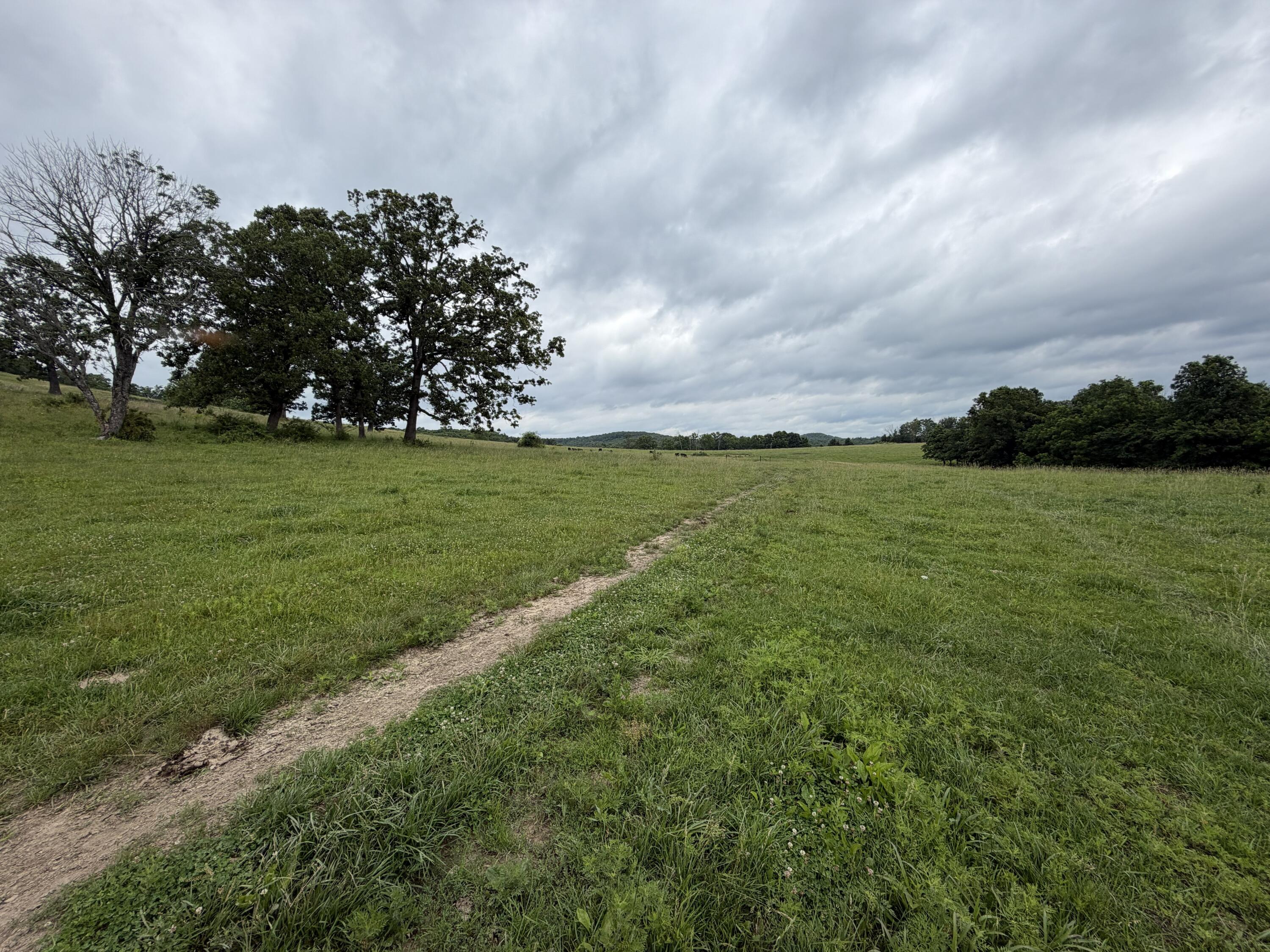 Photo 20 - Farm for sale – 000  N Highway   Squires, MO