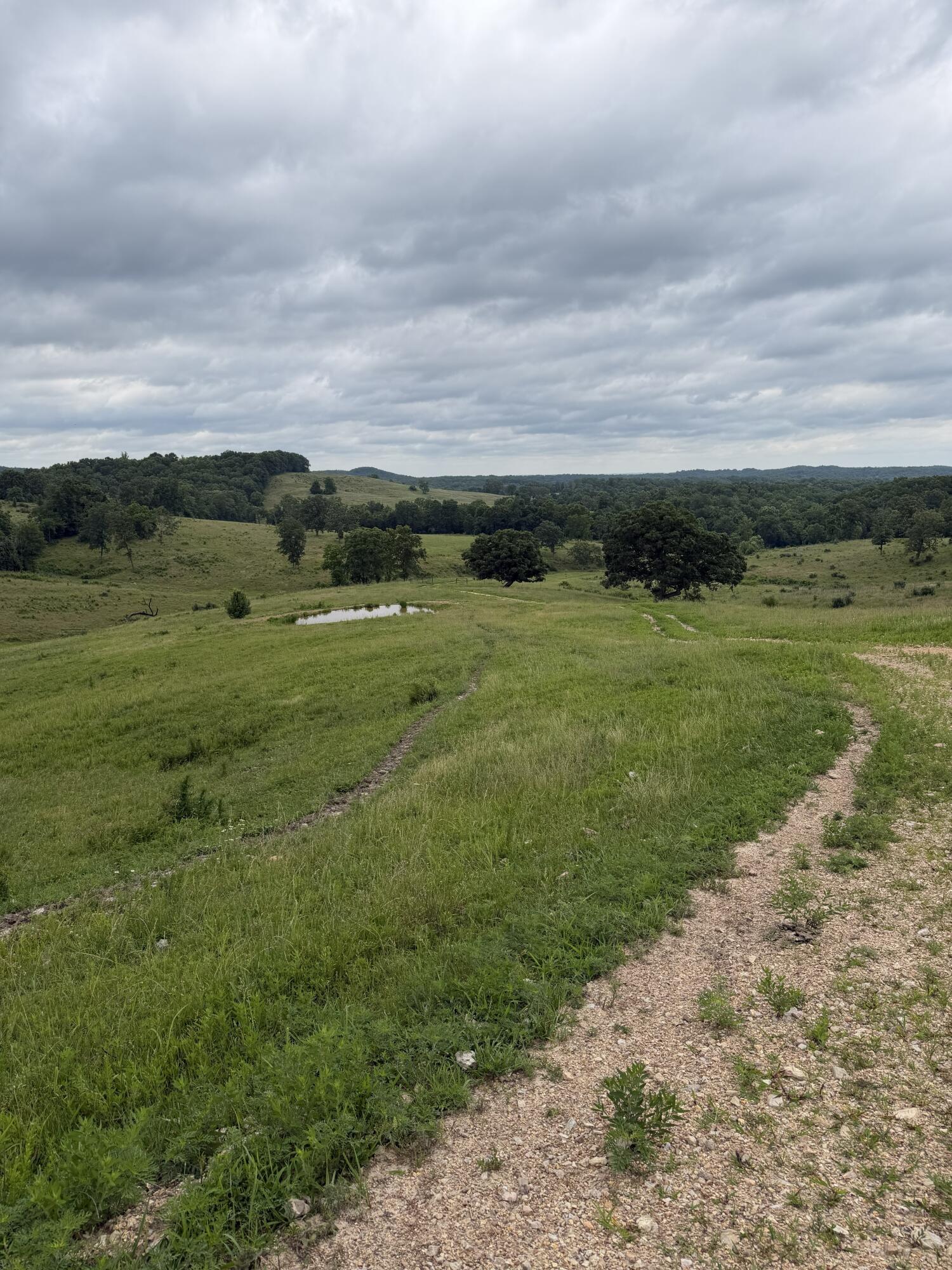Photo 8 - Farm for sale – 000  N Highway   Squires, MO