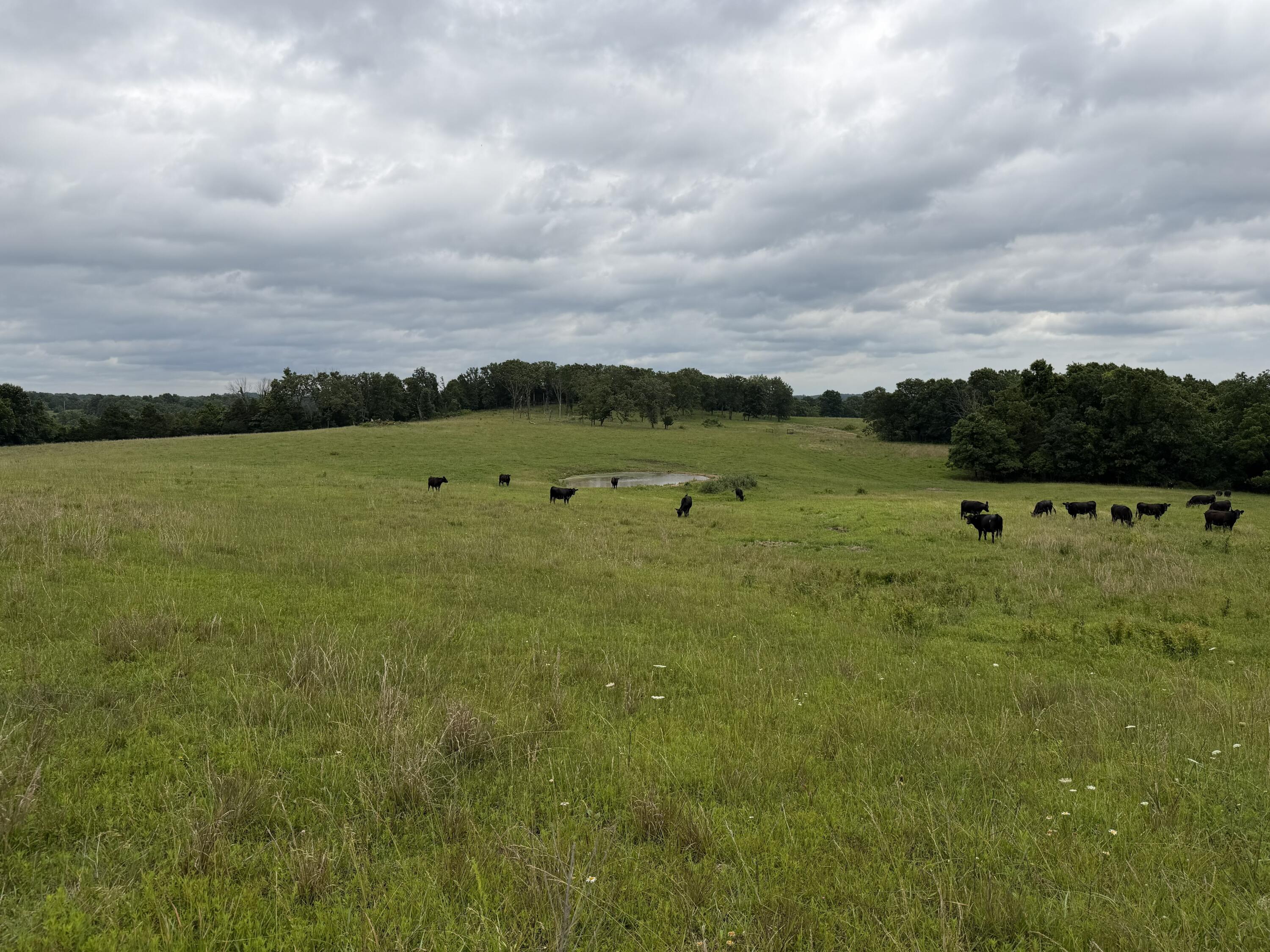 Photo 26 - Farm for sale – 000  N Highway   Squires, MO