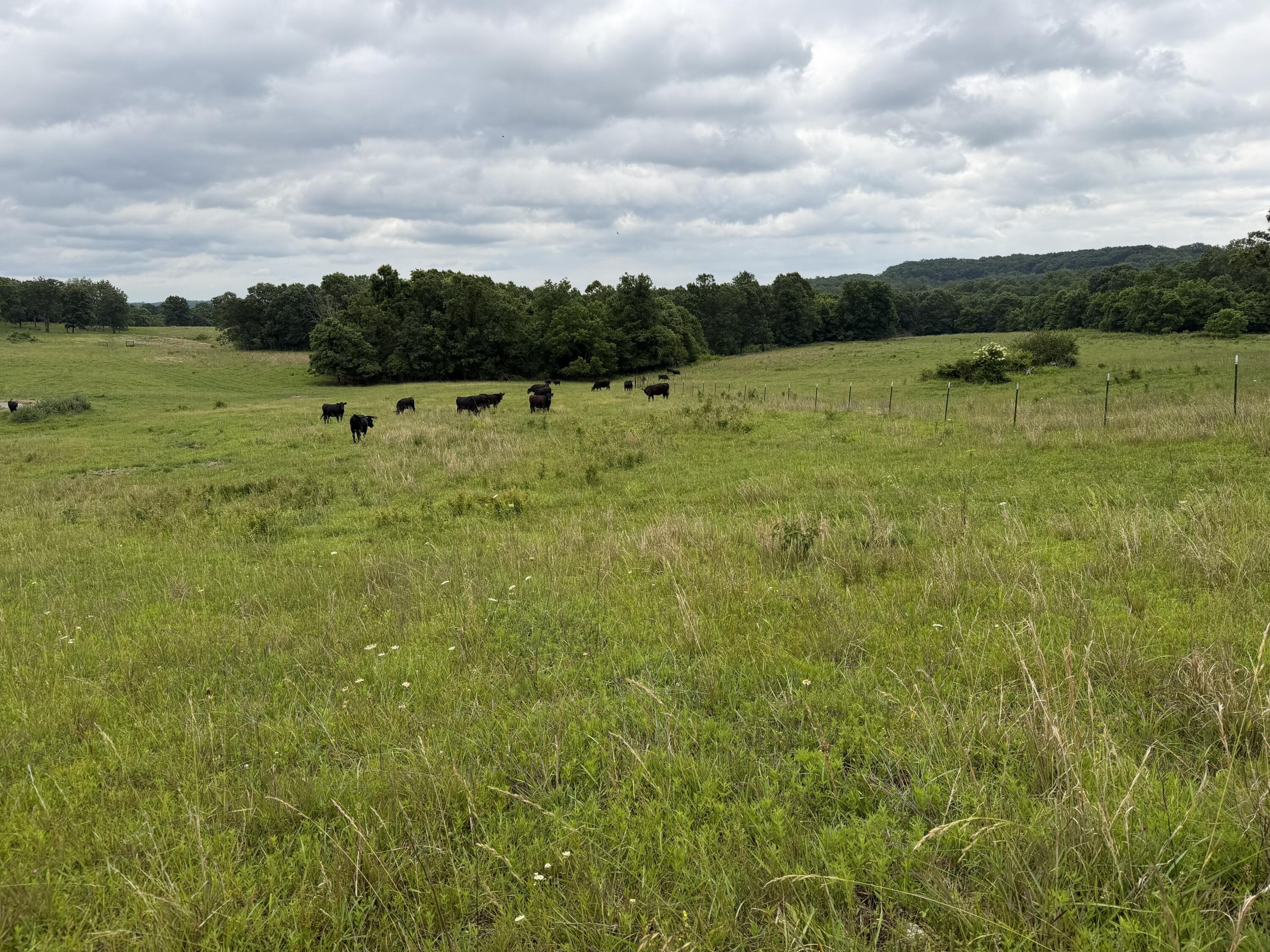 Photo 24 - Farm for sale – 000  N Highway   Squires, MO