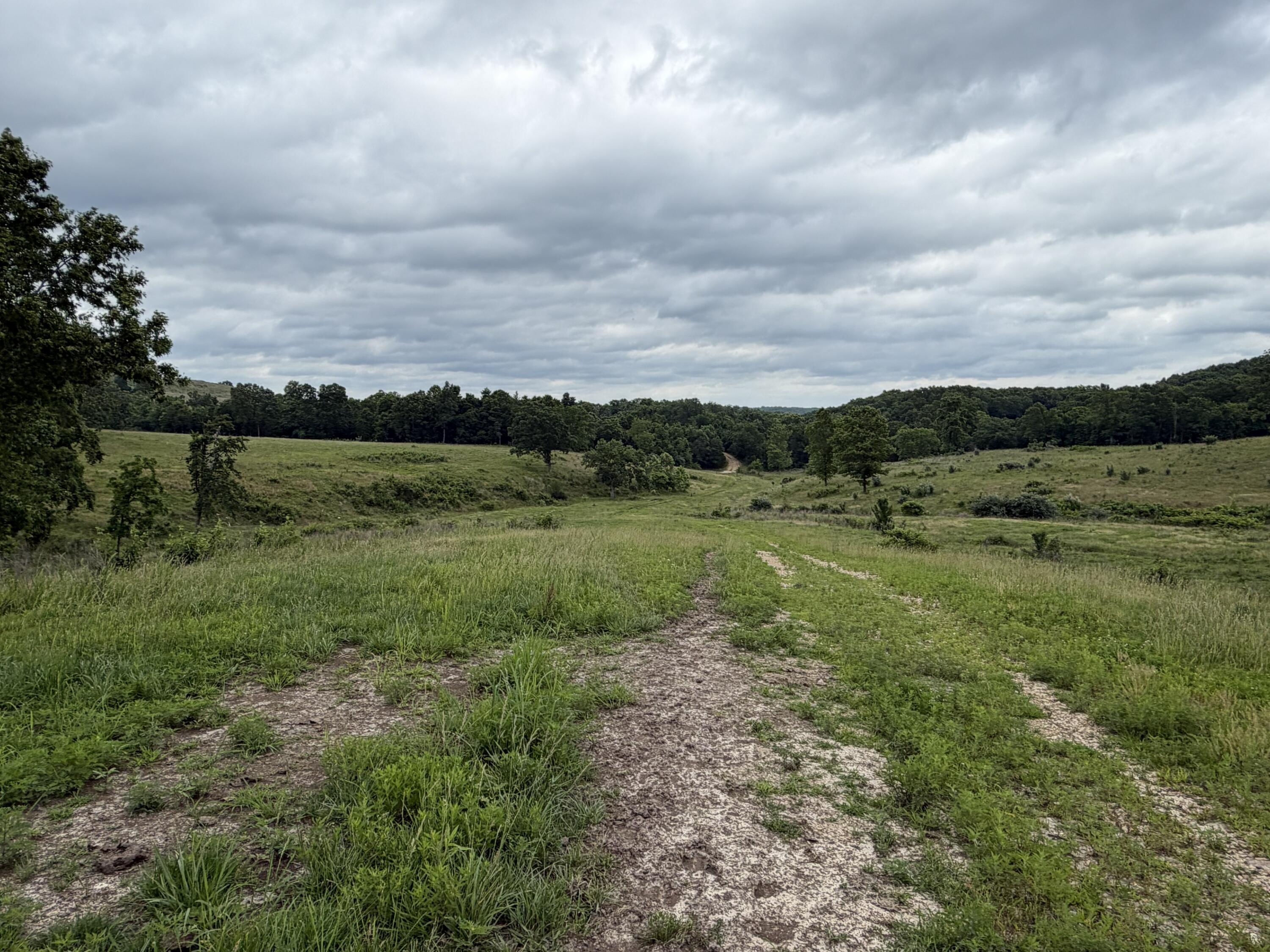 Photo 14 - Farm for sale – 000  N Highway   Squires, MO