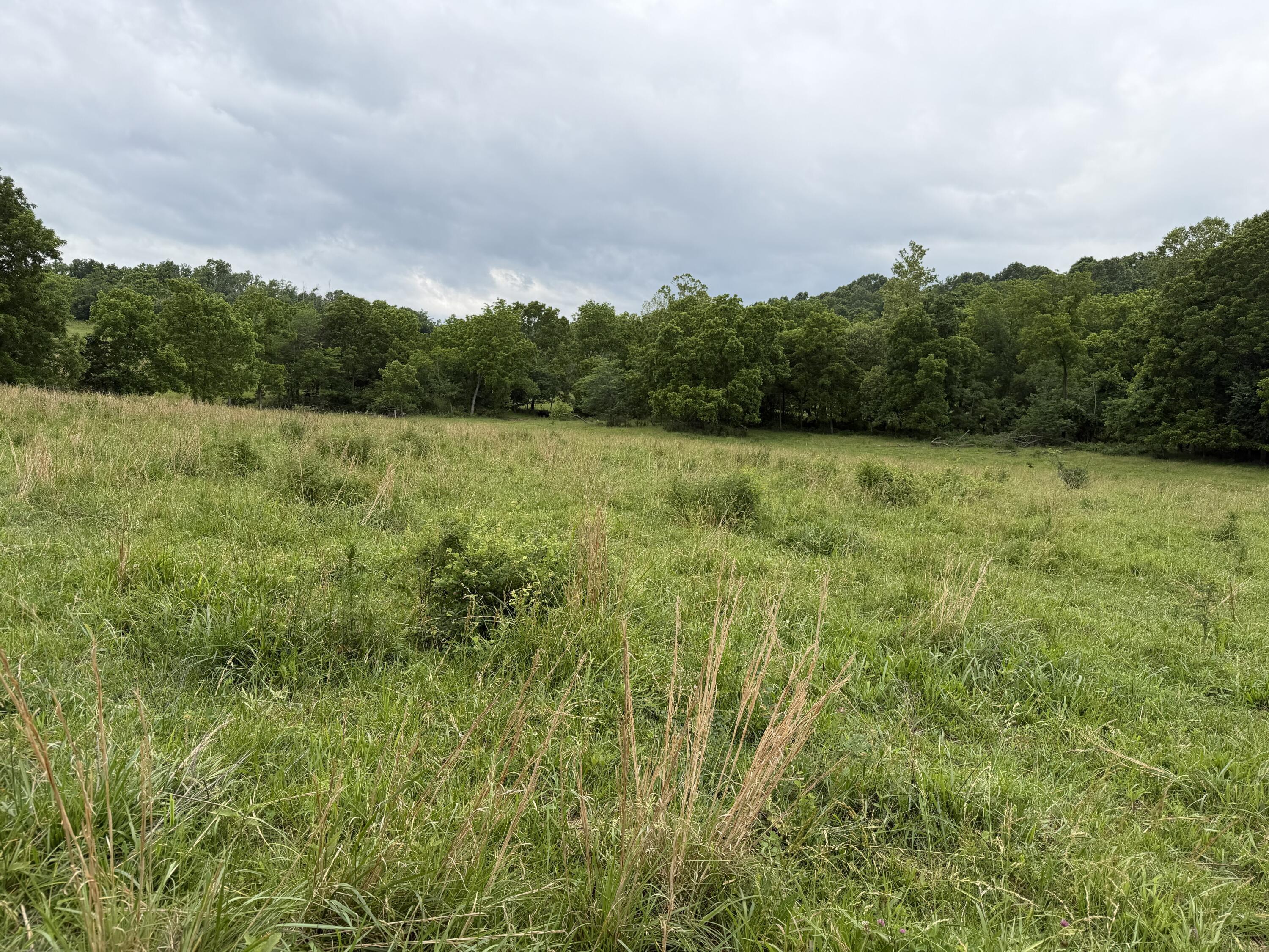 Photo 36 - Farm for sale – 000  N Highway   Squires, MO