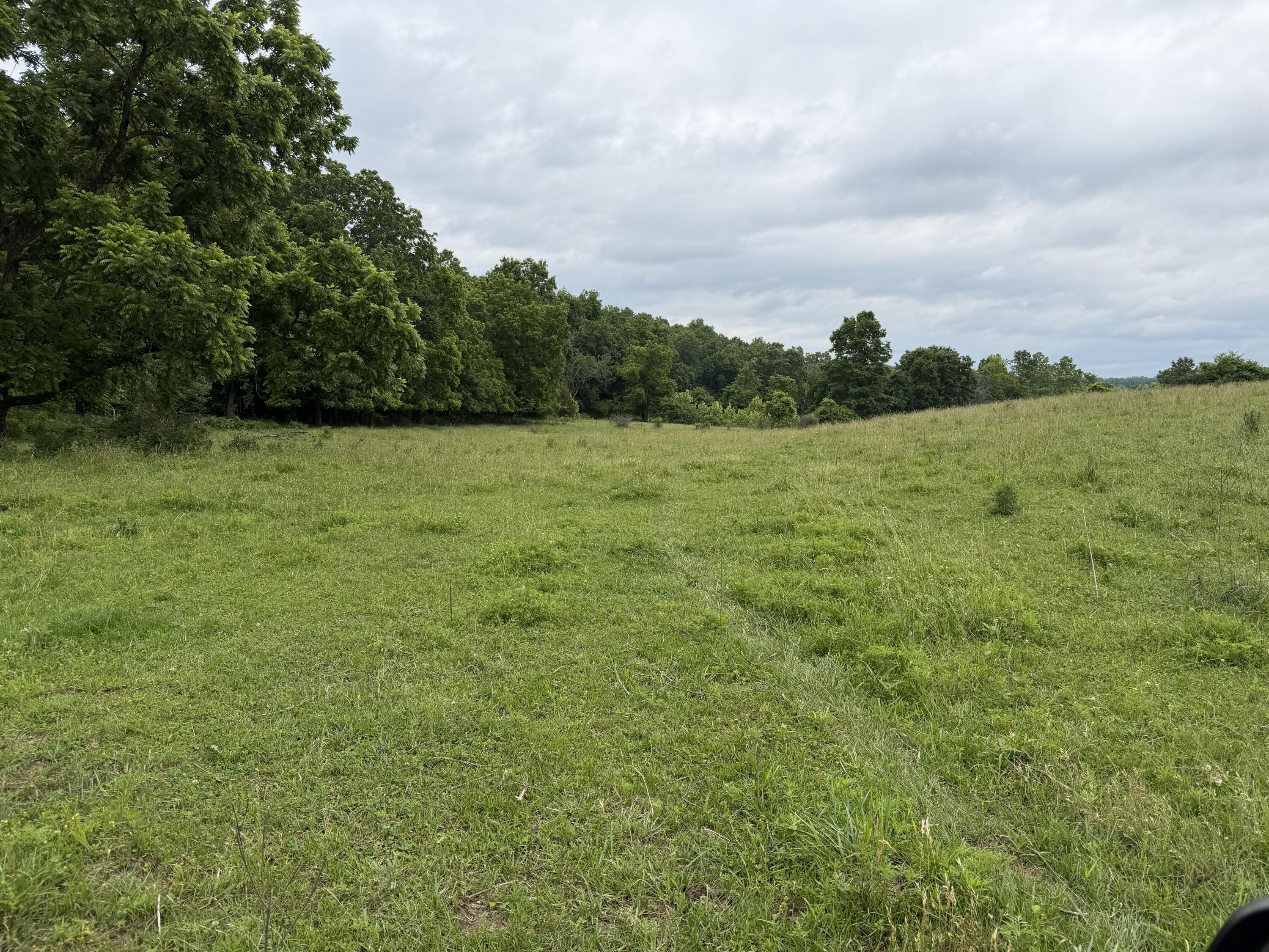 Photo 35 - Farm for sale – 000  N Highway   Squires, MO