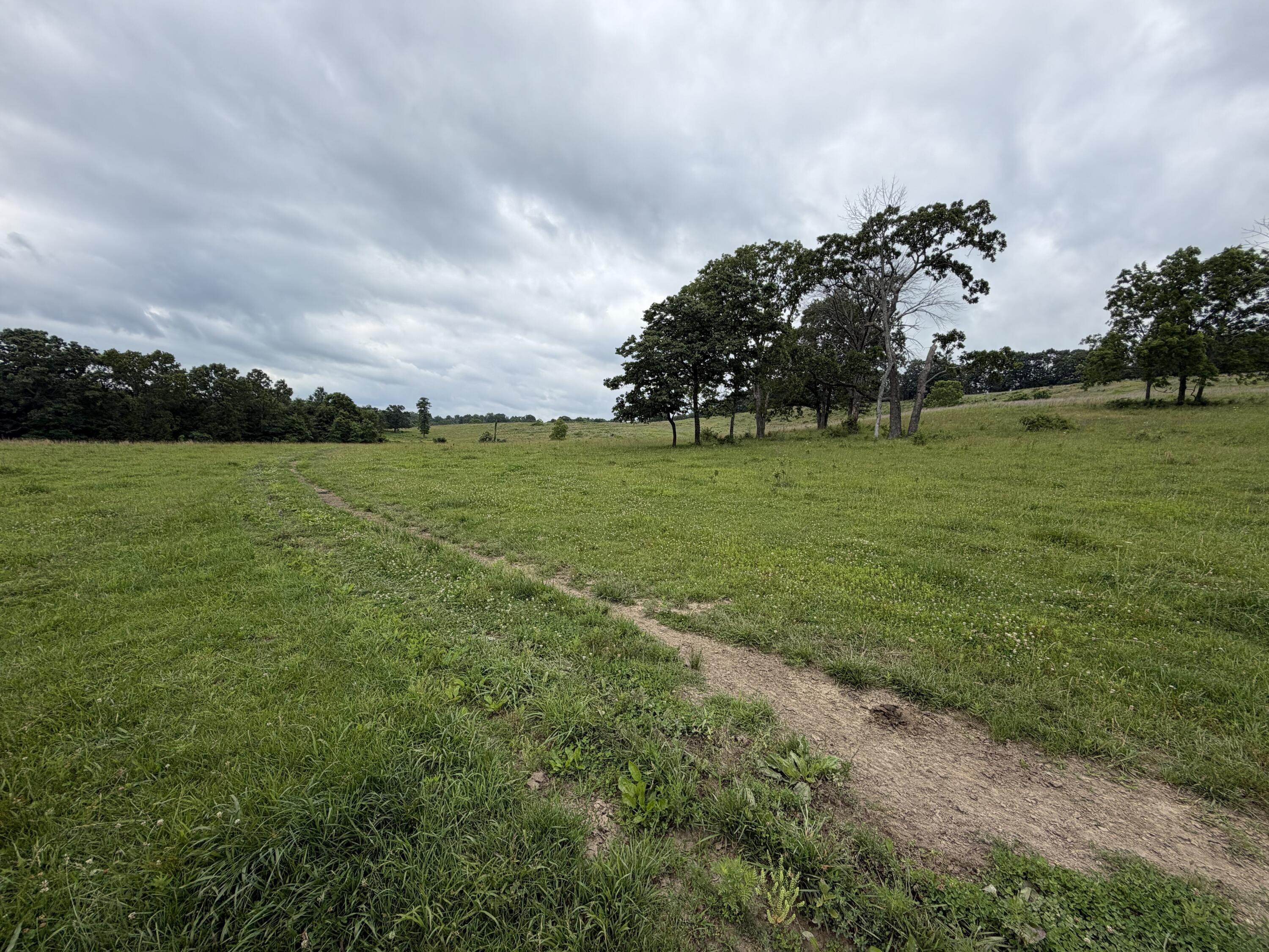 Photo 22 - Farm for sale – 000  N Highway   Squires, MO