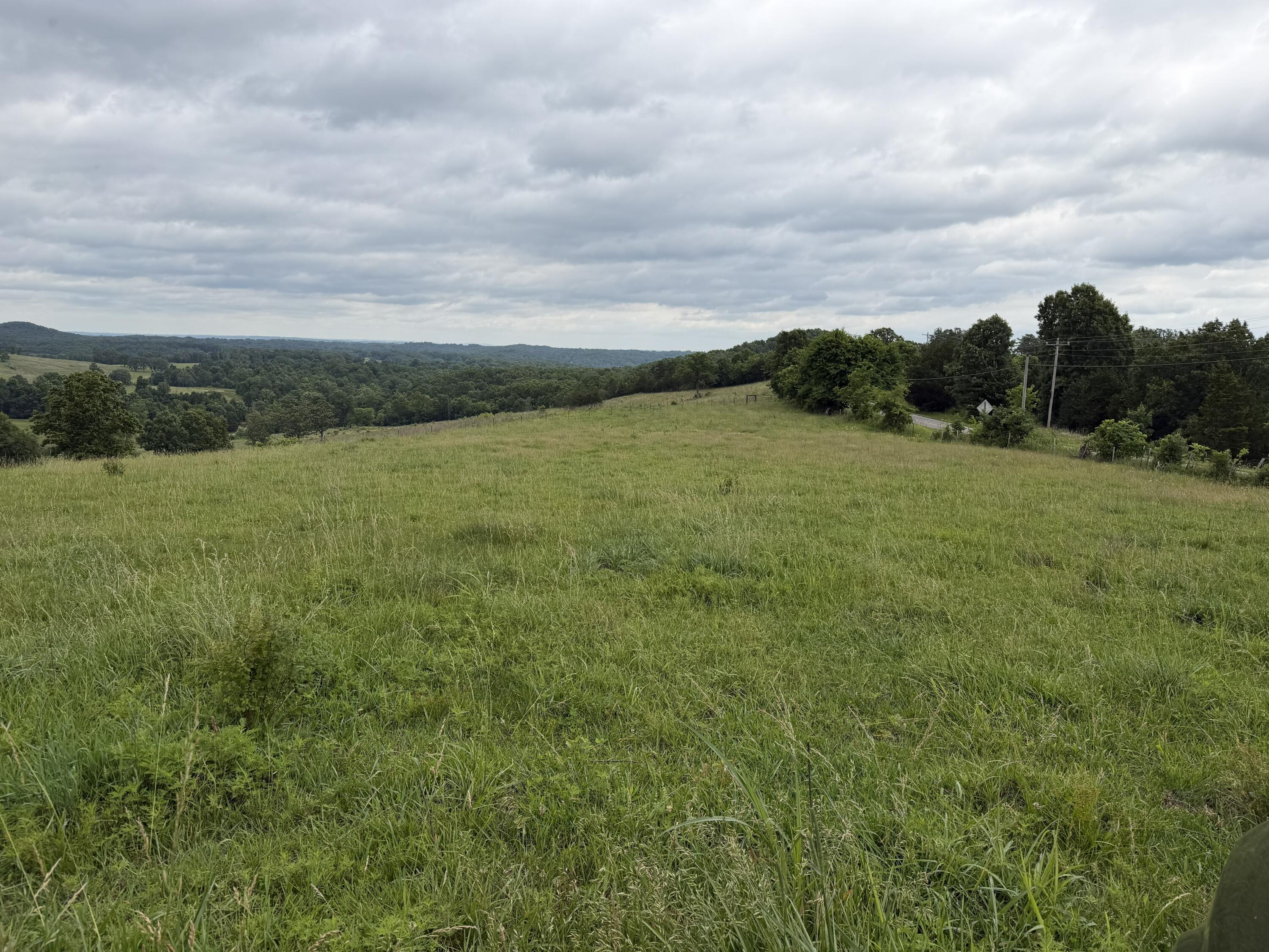Photo 3 - Farm for sale – 000  N Highway   Squires, MO