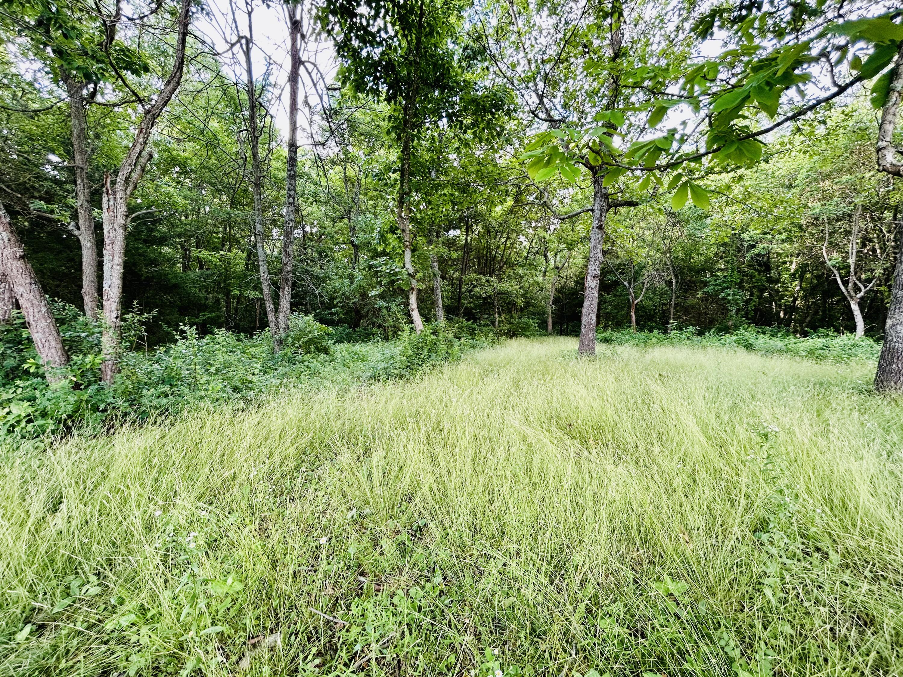 Photo 11 - Land for sale – 000  Lawrence 2207, Lot 16   Marionville, MO