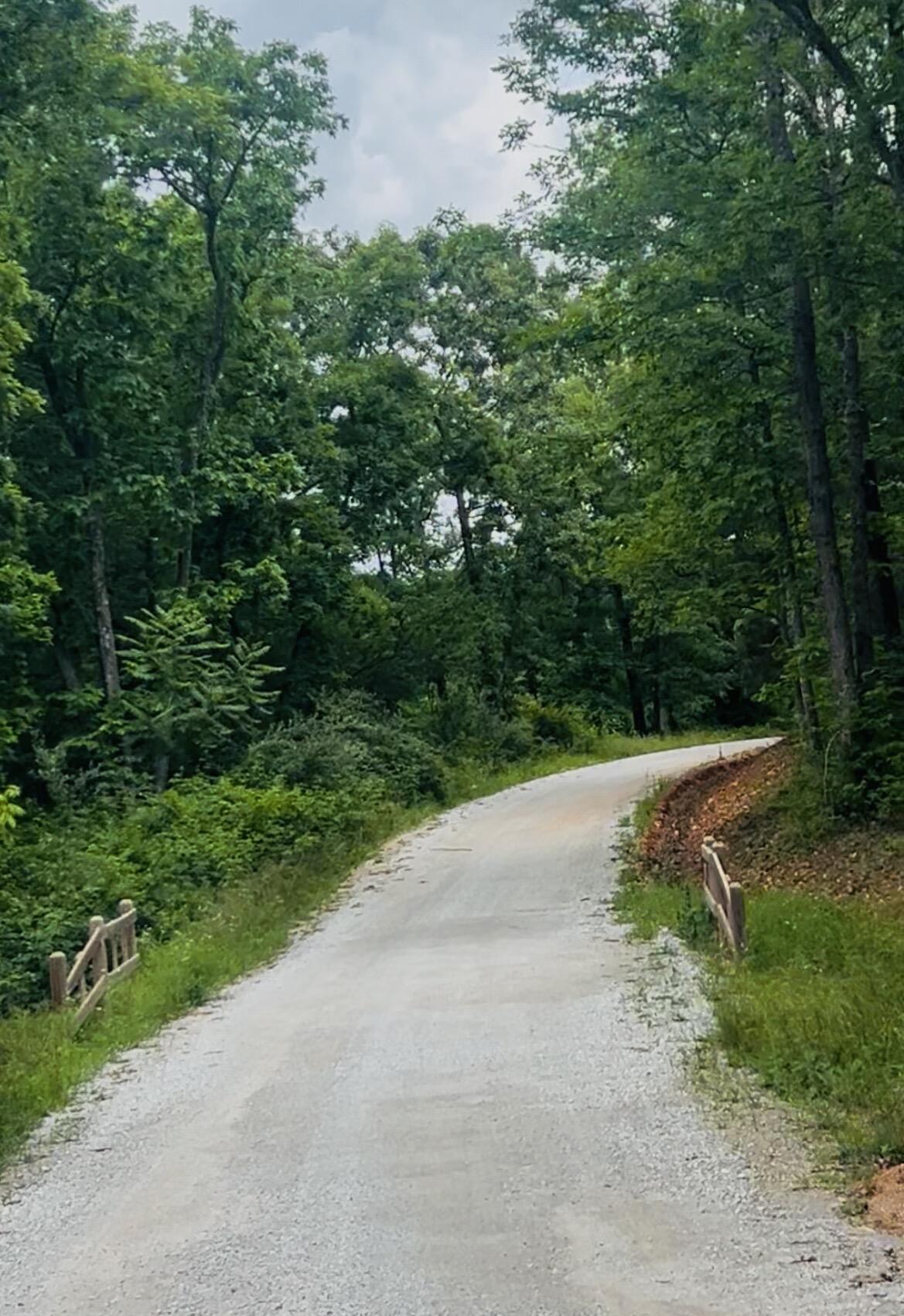 Photo 12 - Land for sale – 000  Lawrence 2207, Lot 16   Marionville, MO