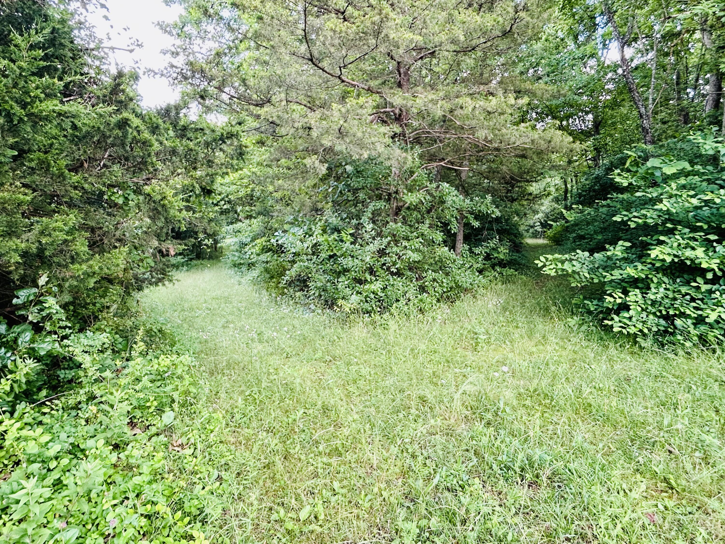 Photo 6 - Land for sale – 000  Lawrence 2207, Lot 16   Marionville, MO