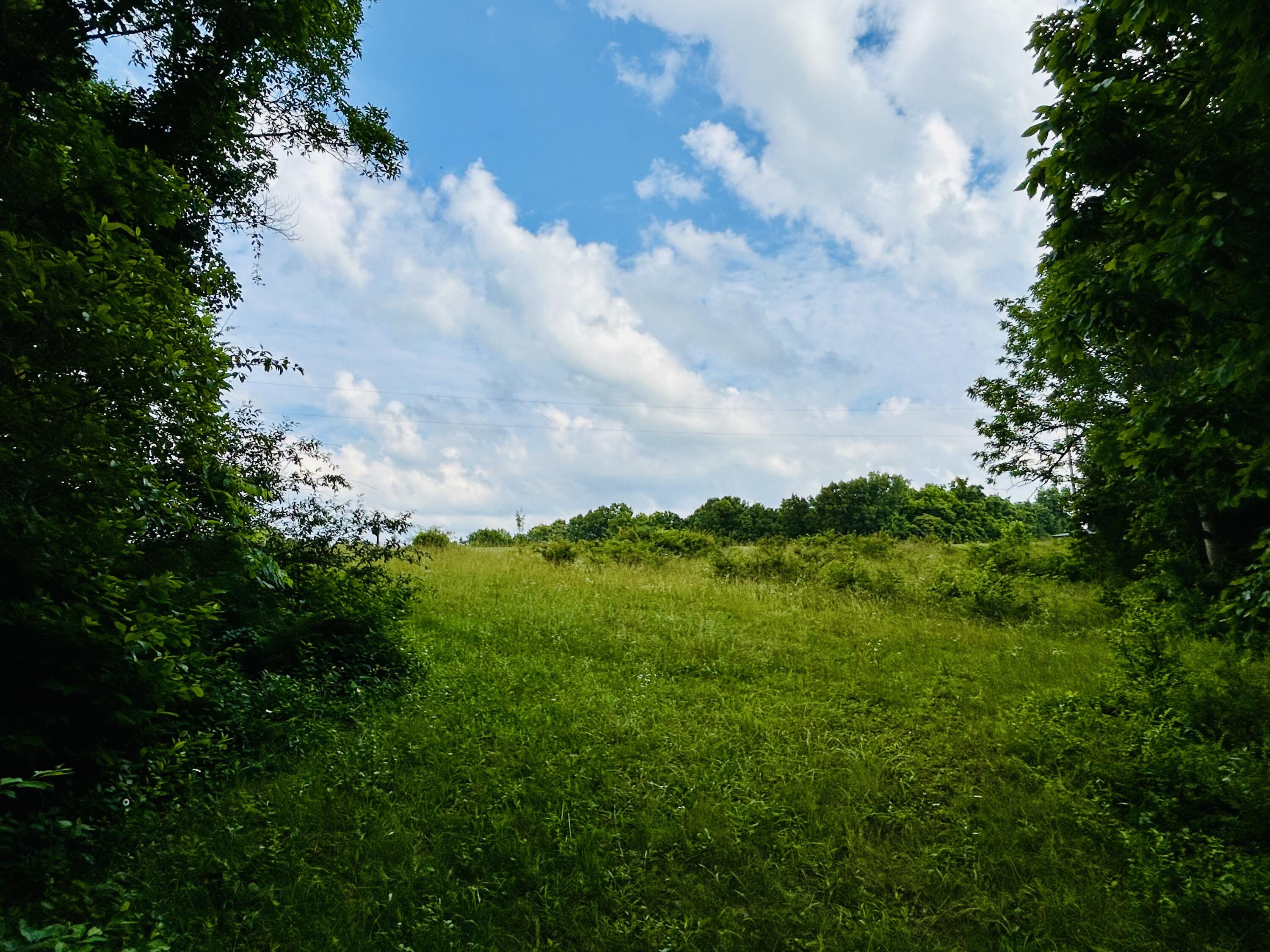 Photo 9 - Land for sale – 000  Lawrence 2207, Lot 16   Marionville, MO