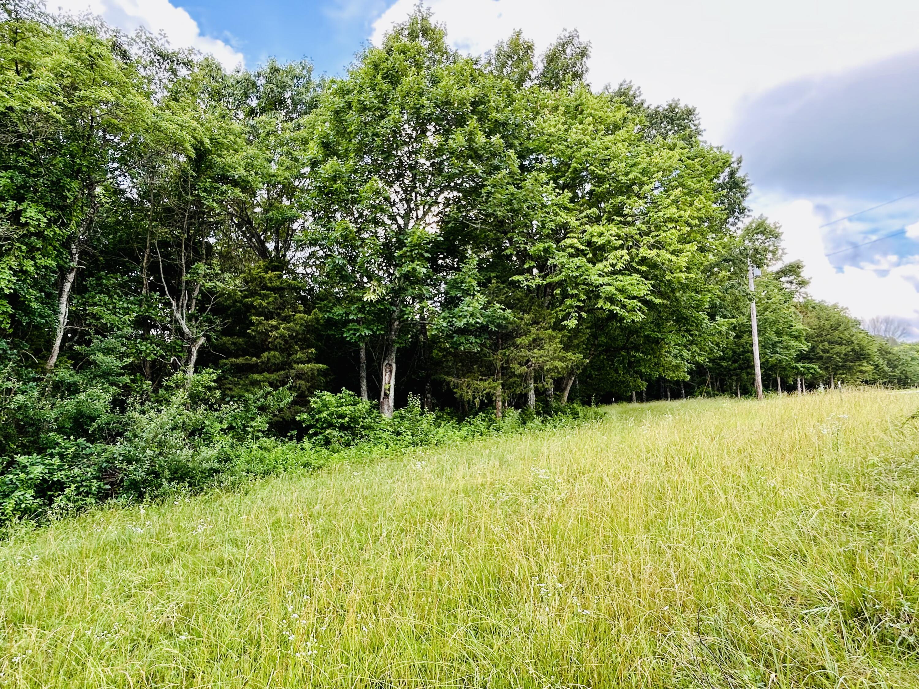 Photo 10 - Land for sale – 000  Lawrence 2207, Lot 16   Marionville, MO