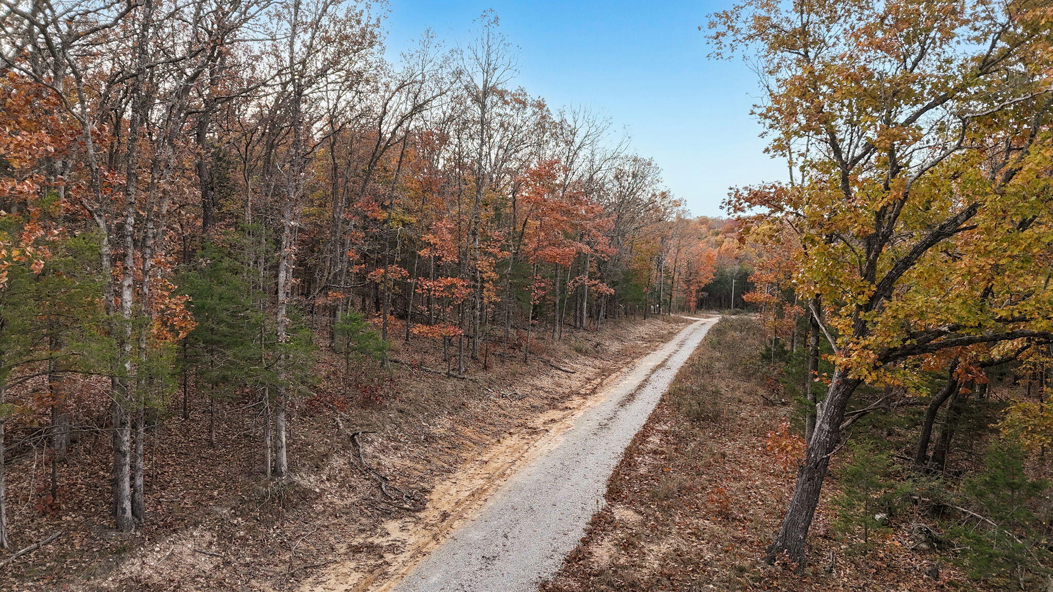 Photo 11 - Land for sale – 000  Cedarwood Drive  Marshfield, MO