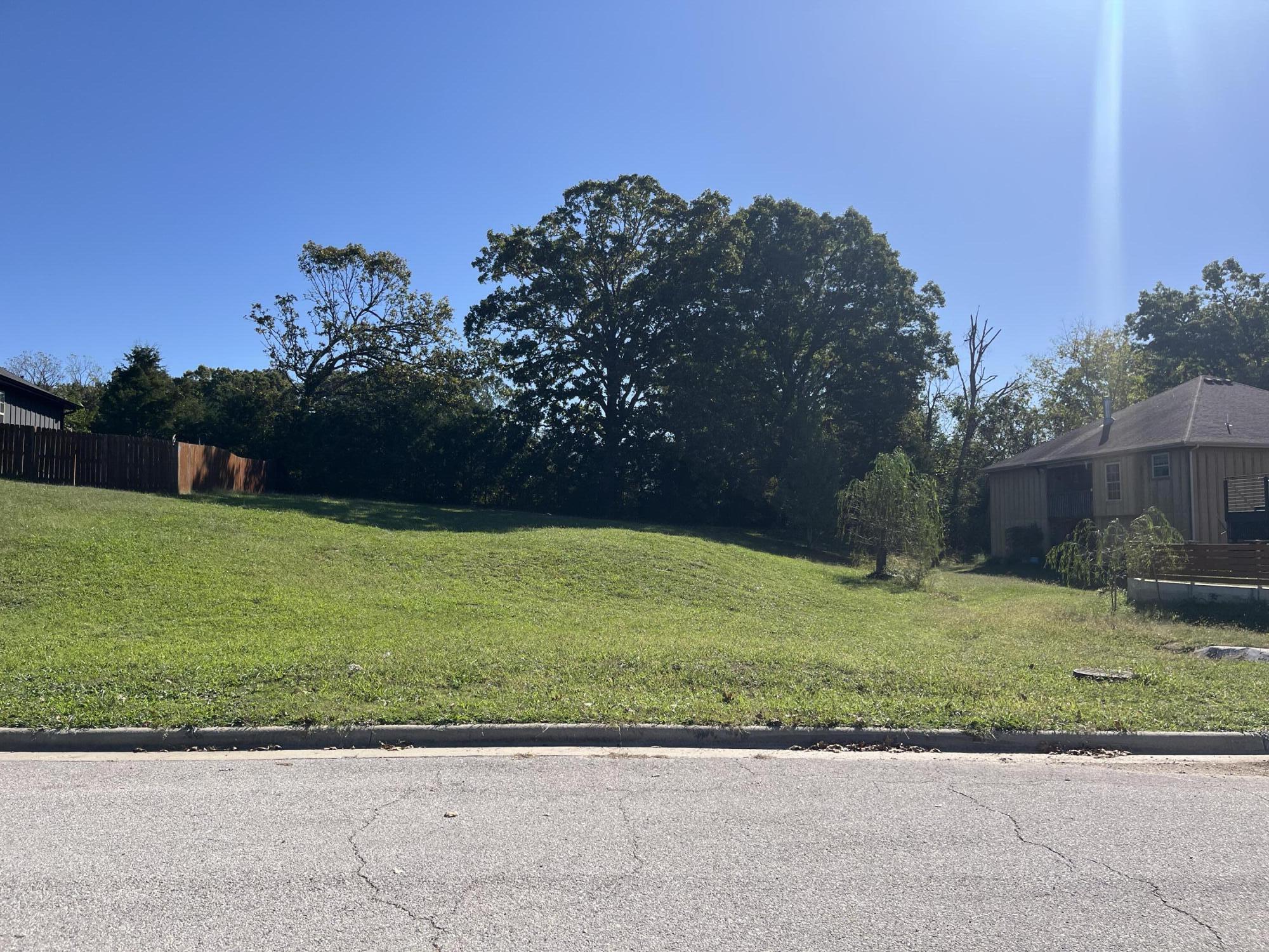 Photo 3 - Land for sale – 970 S 21st Avenue  Ozark, MO