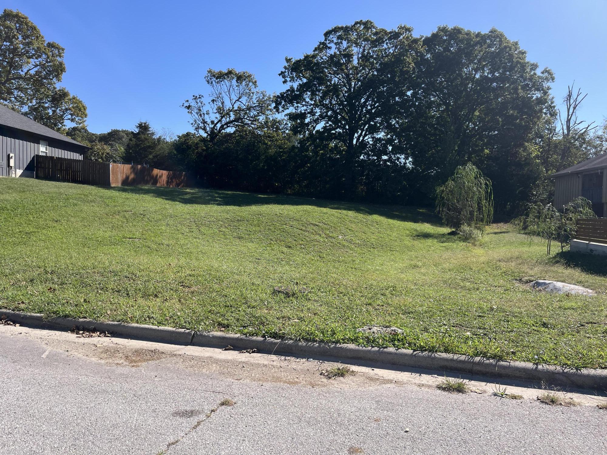 Photo 2 - Land for sale – 970 S 21st Avenue  Ozark, MO