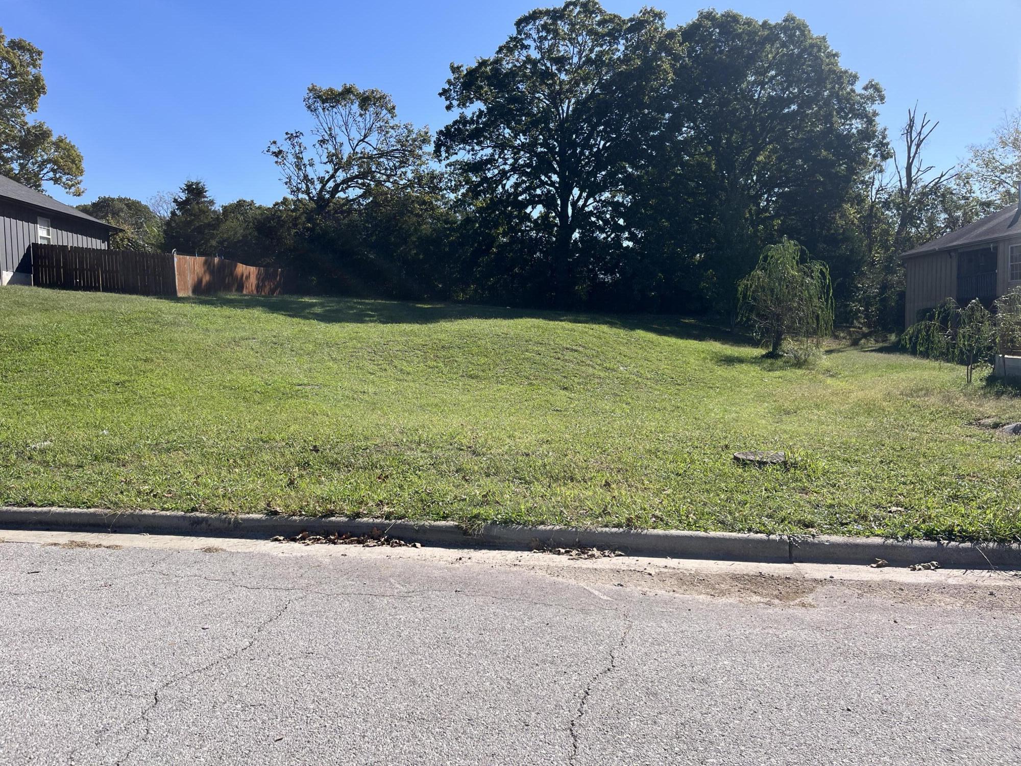 Photo 4 - Land for sale – 970 S 21st Avenue  Ozark, MO