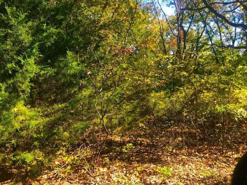 Photo 5 - Land for sale – Tbd  Ance Acres Lane  Reeds Spring, MO