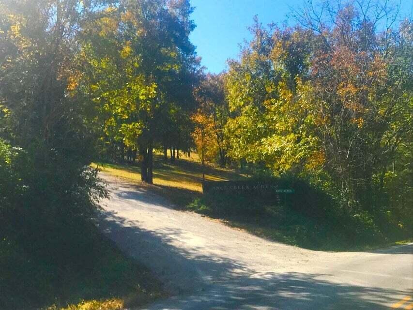 Photo 3 - Land for sale – Tbd  Ance Acres Lane  Reeds Spring, MO