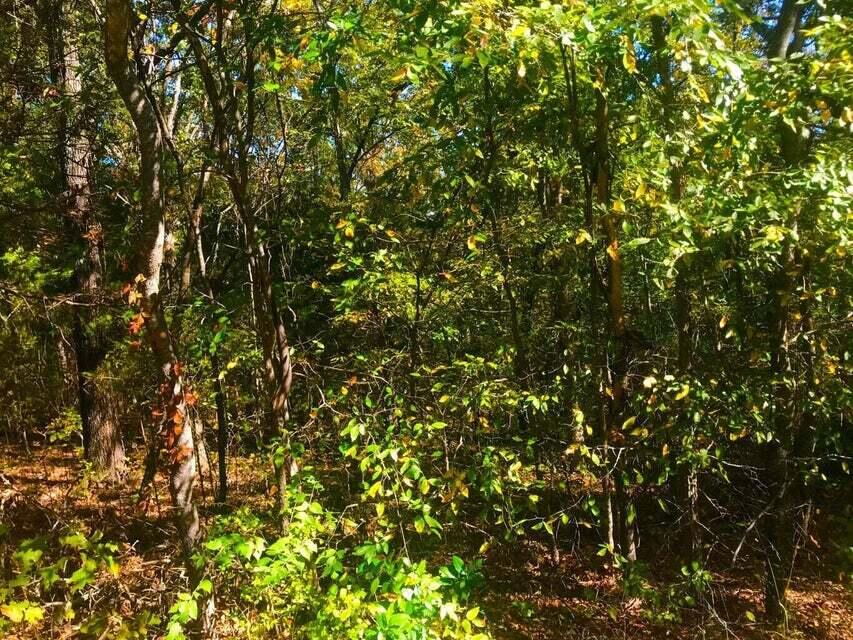 Photo 7 - Land for sale – Tbd  Ance Acres Lane  Reeds Spring, MO