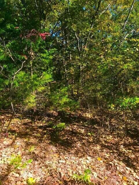 Photo 6 - Land for sale – Tbd  Ance Acres Lane  Reeds Spring, MO