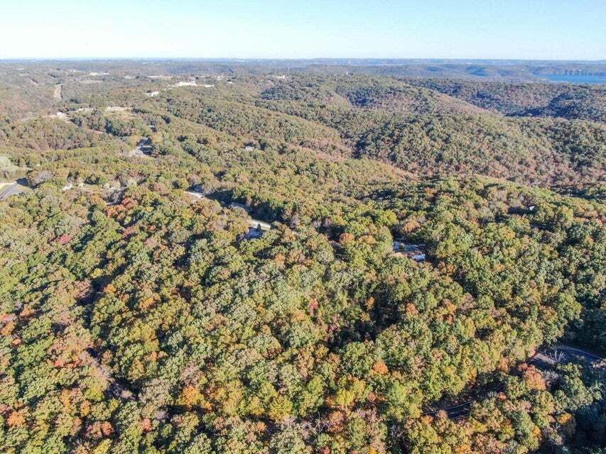 Photo 12 - Land for sale – Tbd  Ance Acres Lane  Reeds Spring, MO