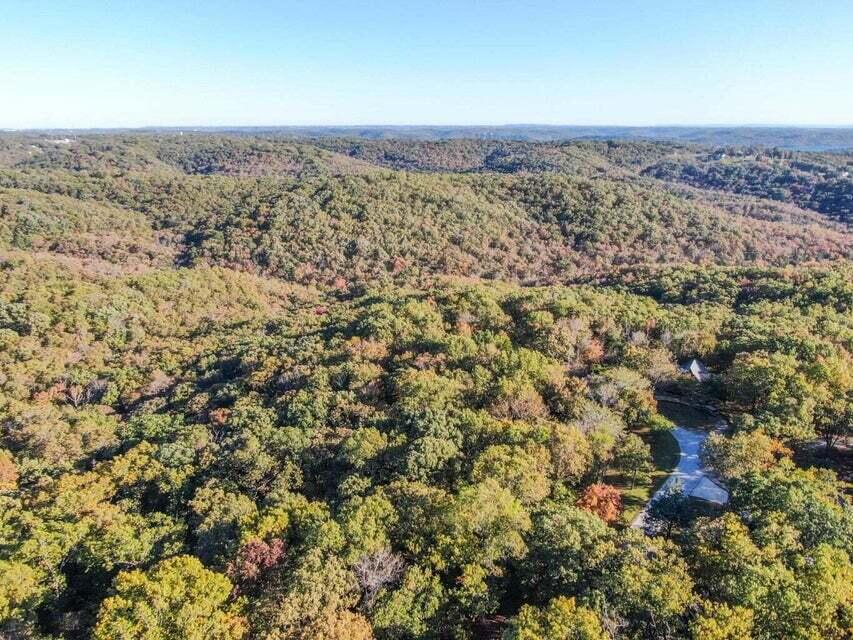Photo 9 - Land for sale – Tbd  Ance Acres Lane  Reeds Spring, MO