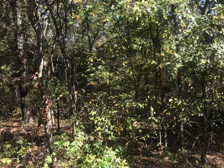Photo 4 - Land for sale – Tbd  Ance Acres Lane  Reeds Spring, MO