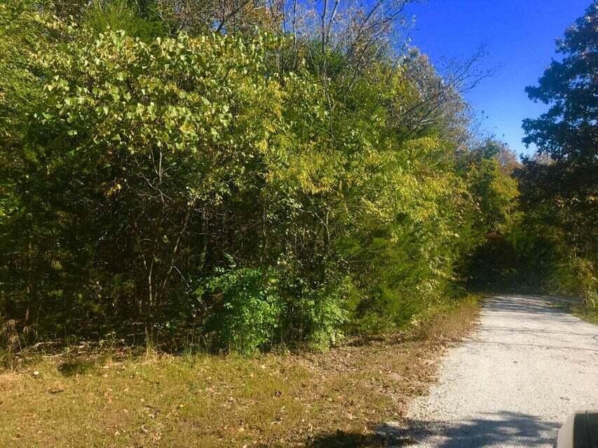 Photo 2 - Land for sale – Tbd  Ance Acres Lane  Reeds Spring, MO