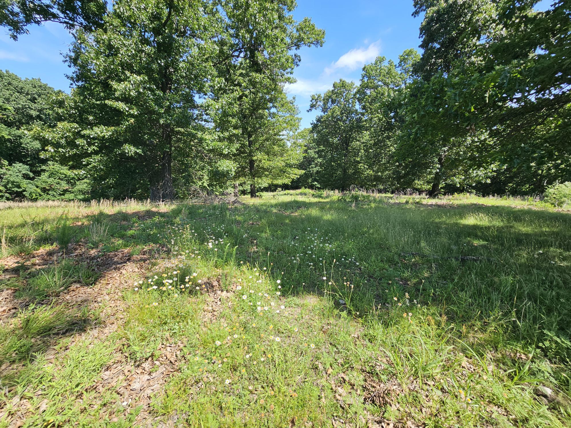 Photo 6 - Residential for sale – 5383  Cowan Ridge Road  Powell, MO