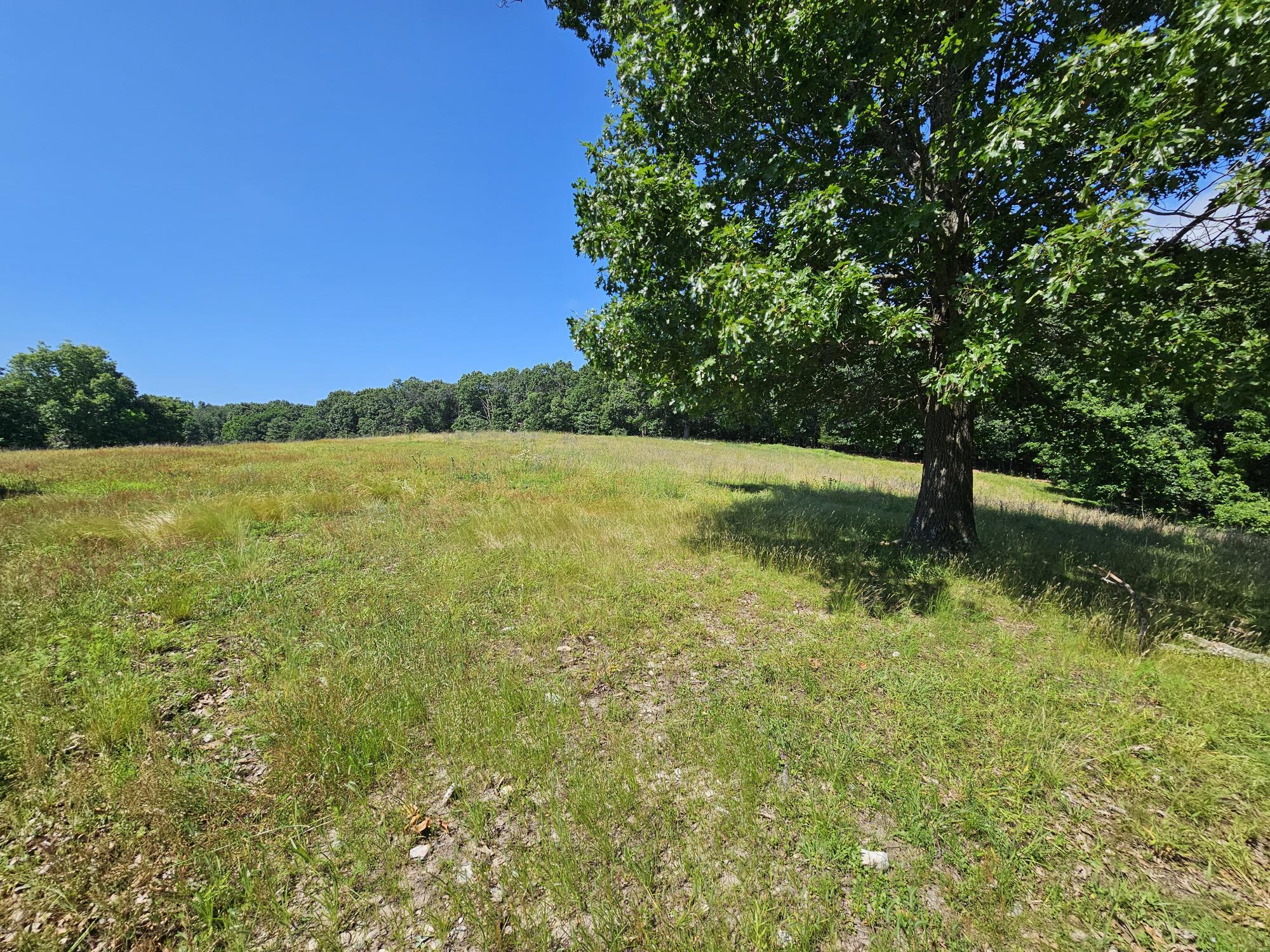 Photo 5 - Residential for sale – 5383  Cowan Ridge Road  Powell, MO