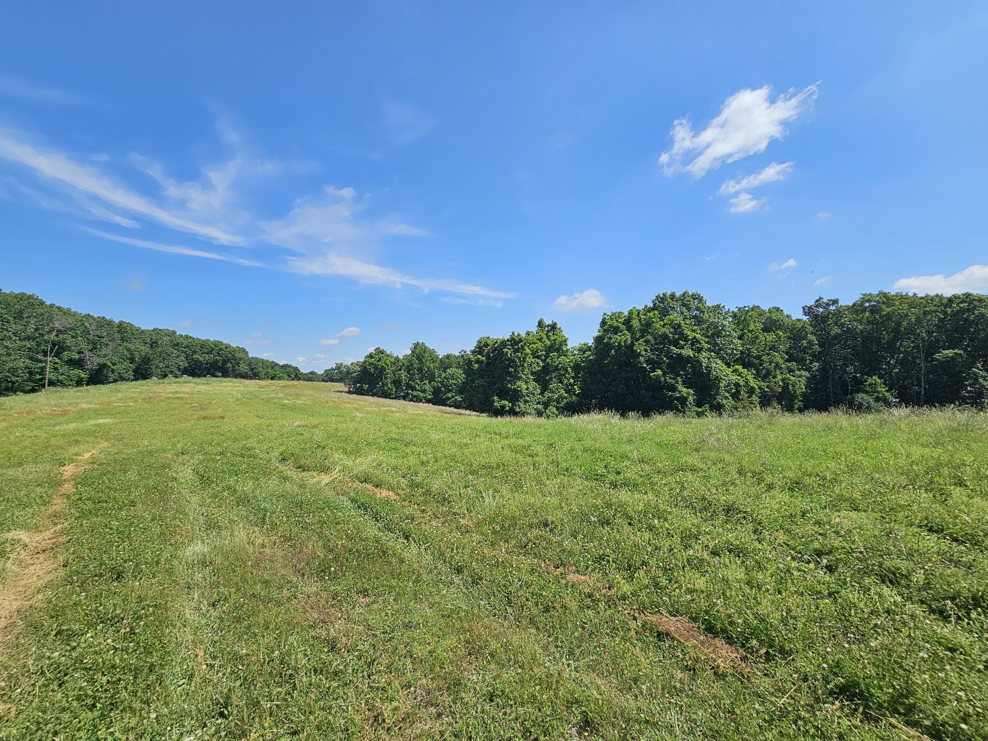Photo 8 - Residential for sale – 5383  Cowan Ridge Road  Powell, MO
