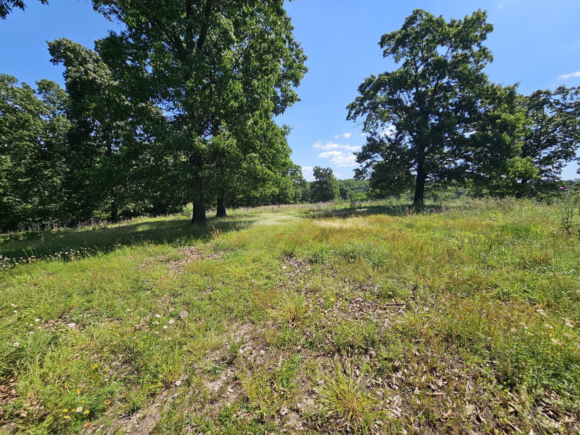 Photo 7 - Residential for sale – 5383  Cowan Ridge Road  Powell, MO