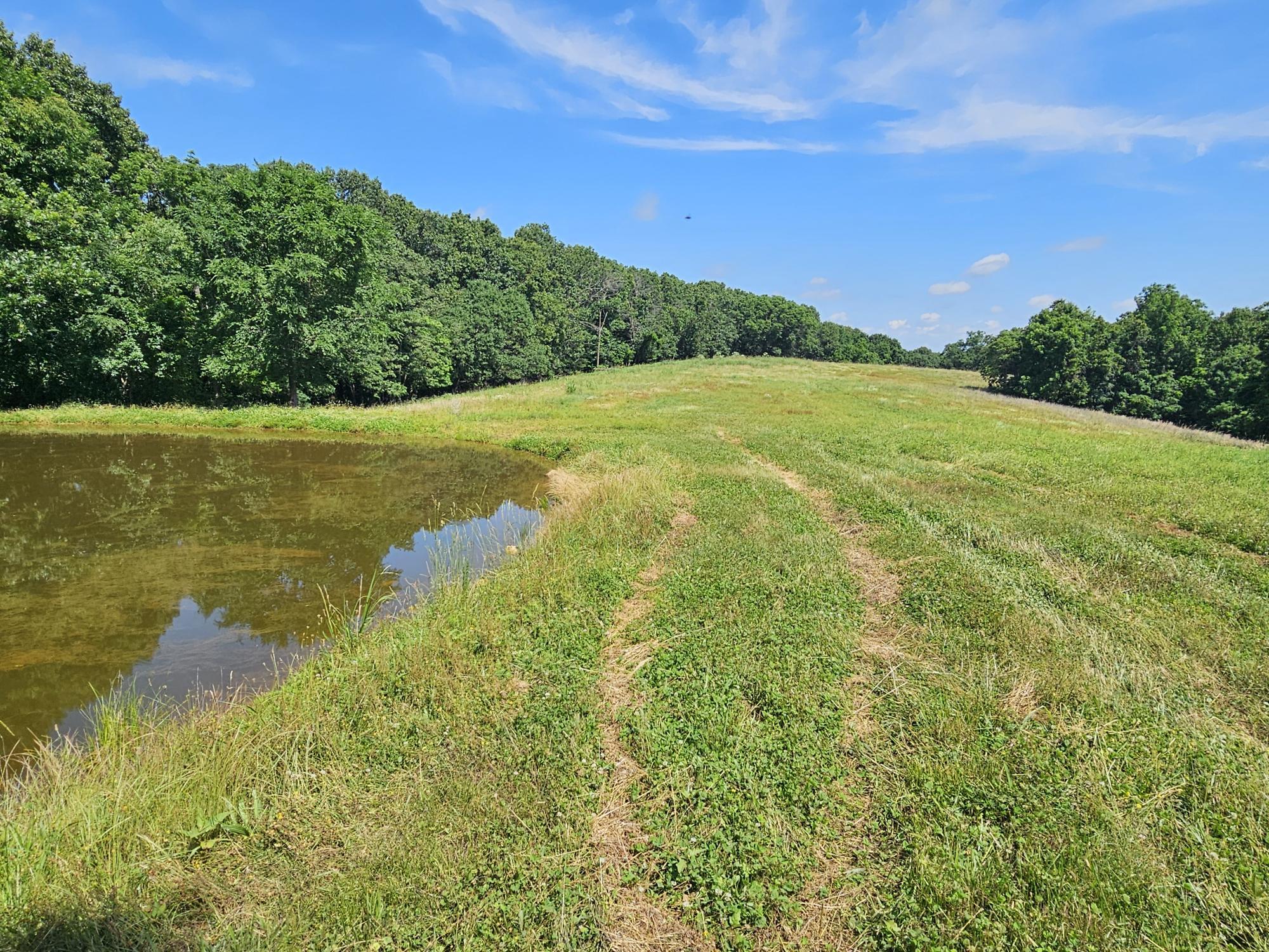 Photo 4 - Residential for sale – 5383  Cowan Ridge Road  Powell, MO