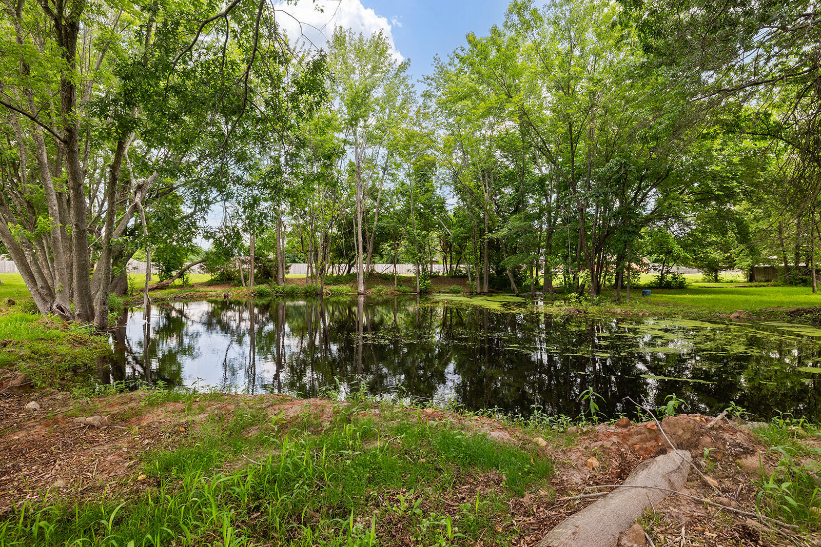 Photo 2 - Residential for sale – 5008 S Cloverdale Lane  Battlefield, MO