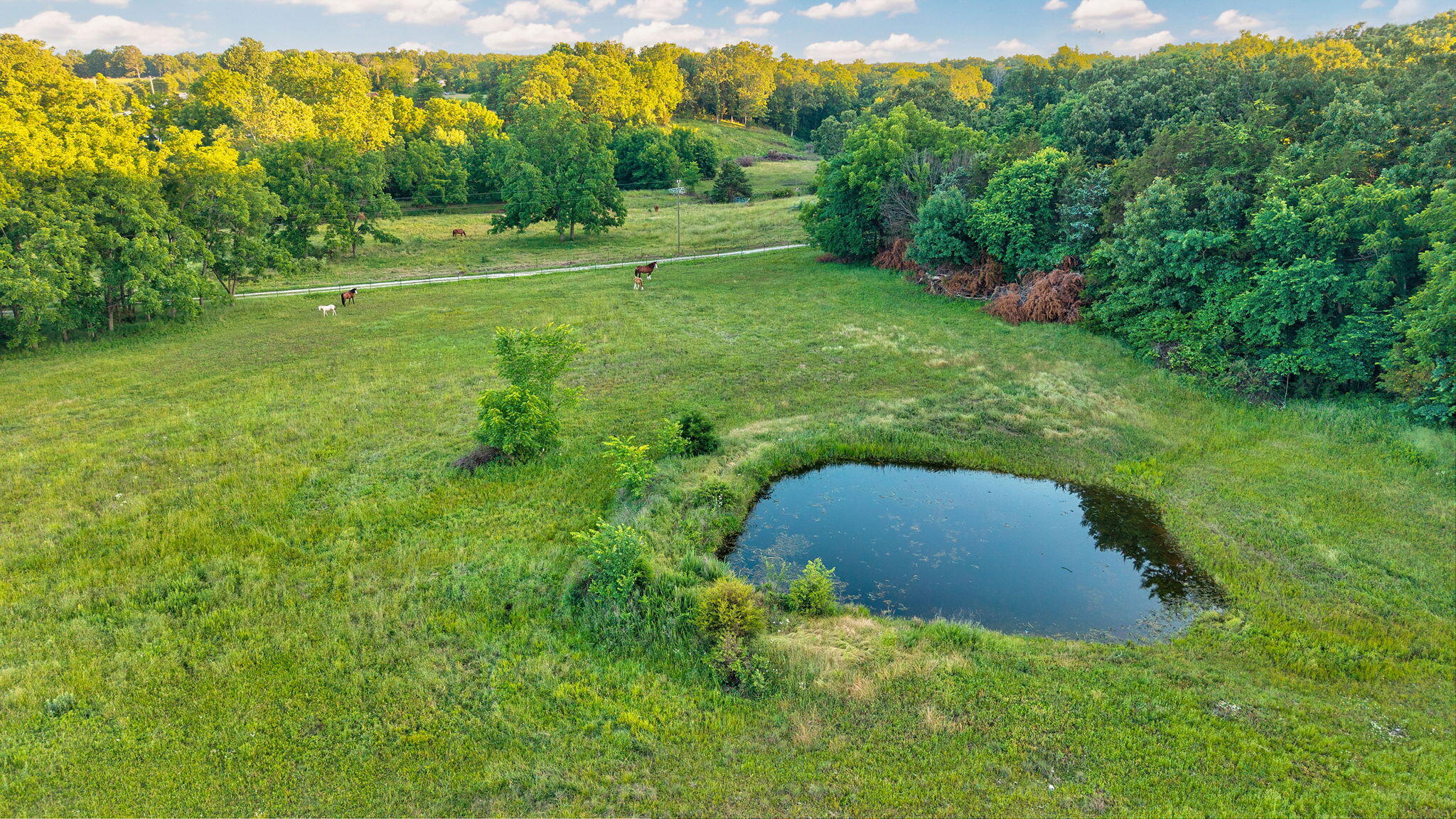 Photo 10 - Residential for sale – 924  Plank School Road  Marshfield, MO