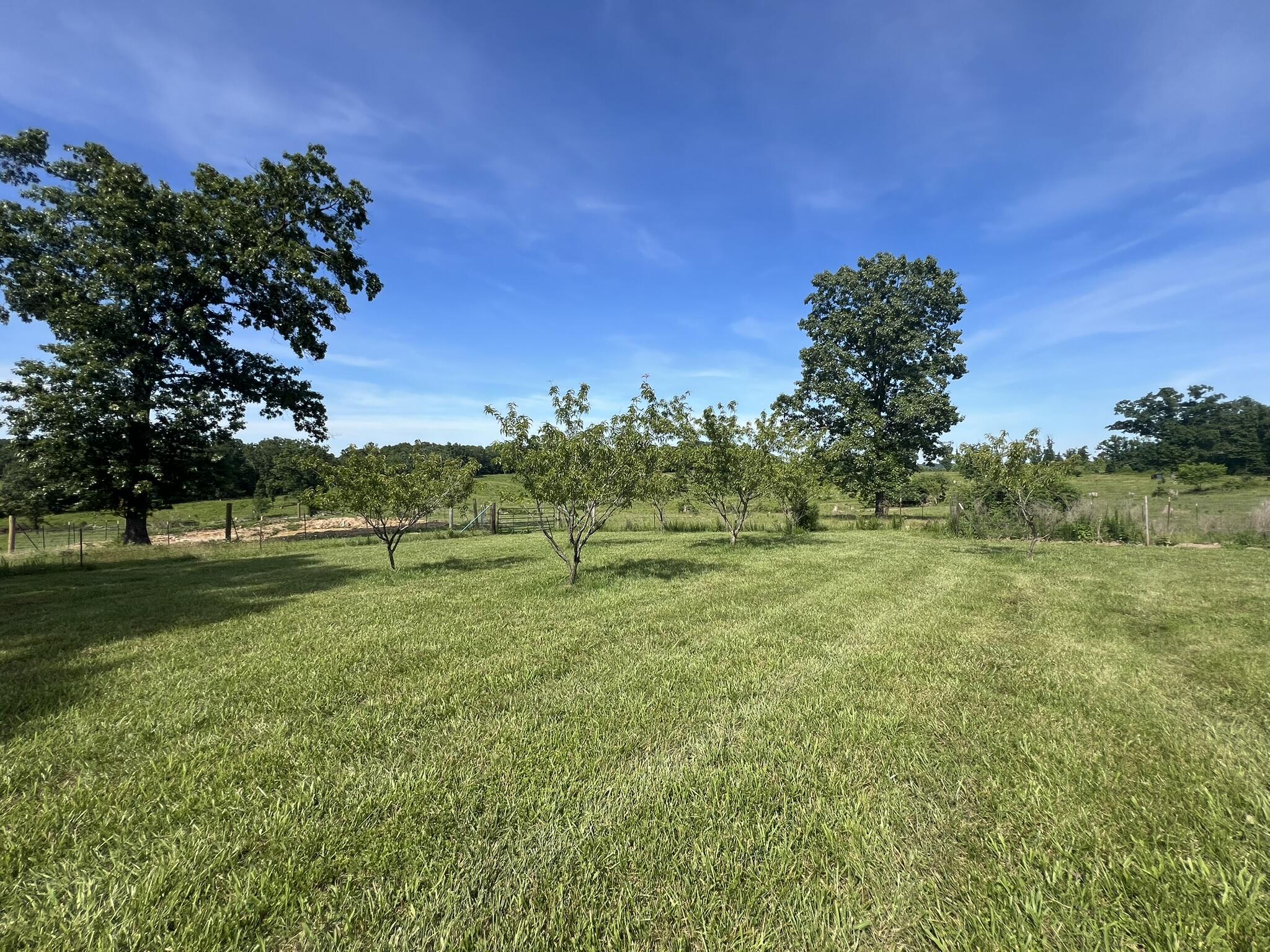 Photo 62 - Residential for sale – 1032  County Road A-409   Ava, MO