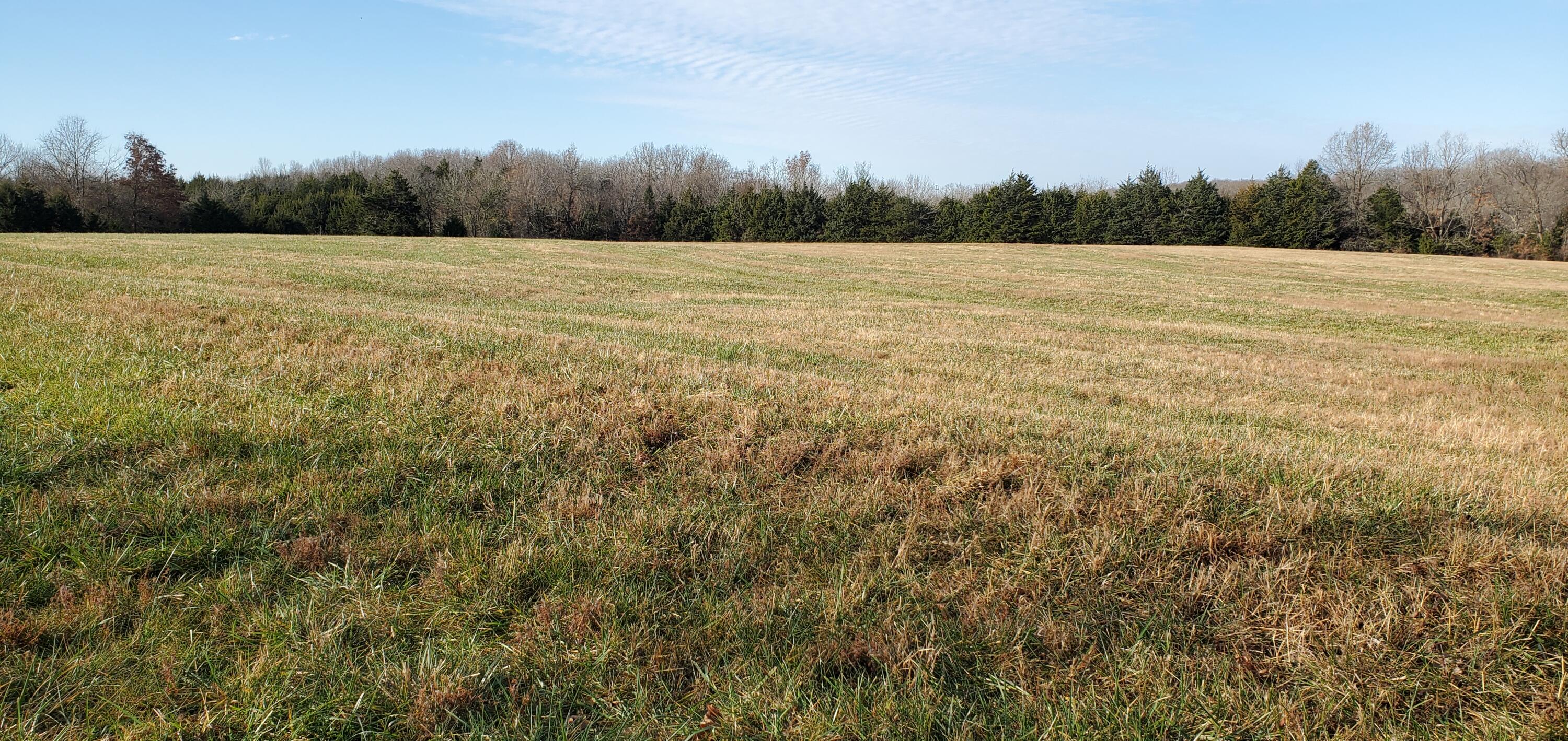 Photo 71 - Residential for sale – 4775 S 50th Road  Aldrich, MO
