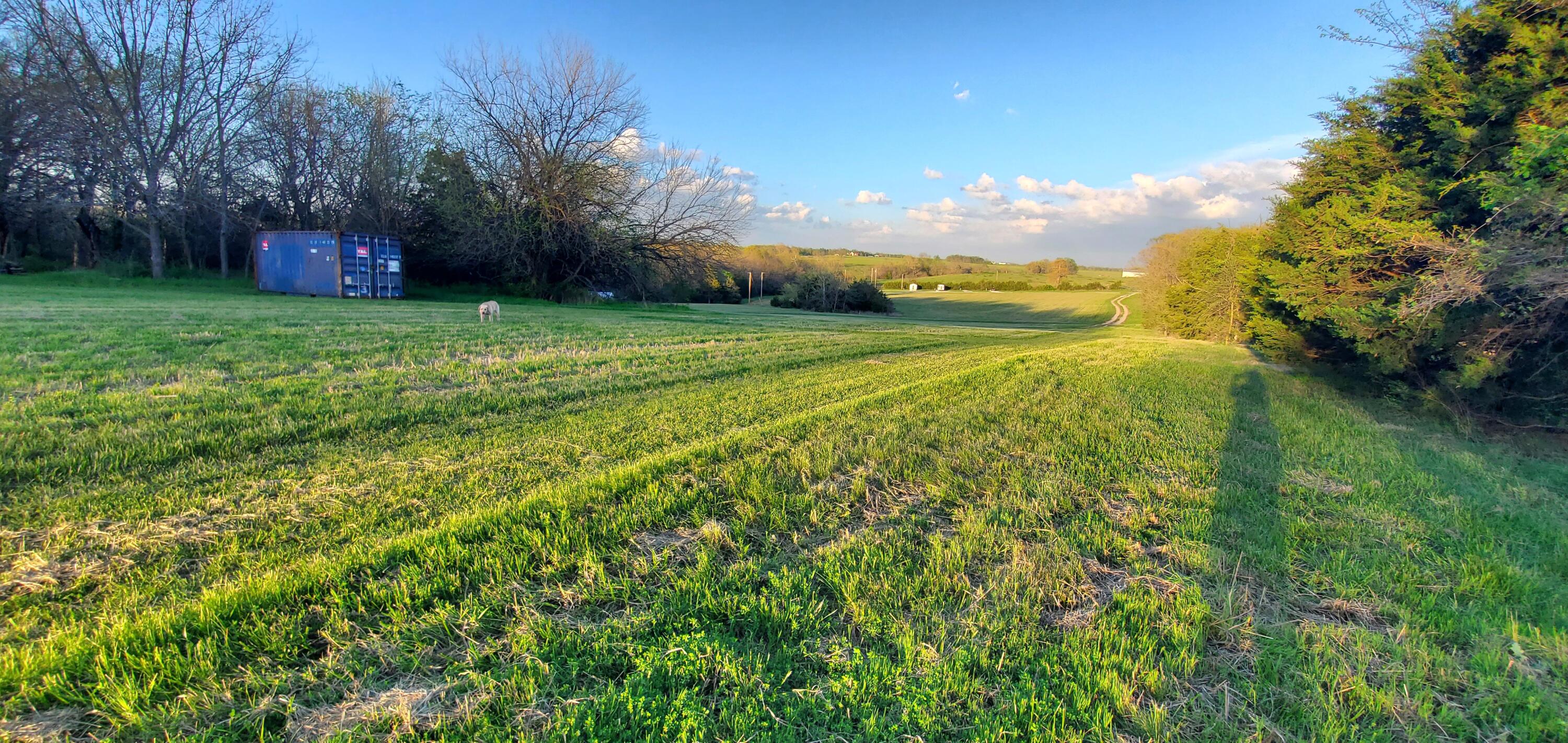 Photo 309 - Residential for sale – 4775 S 50th Road  Aldrich, MO