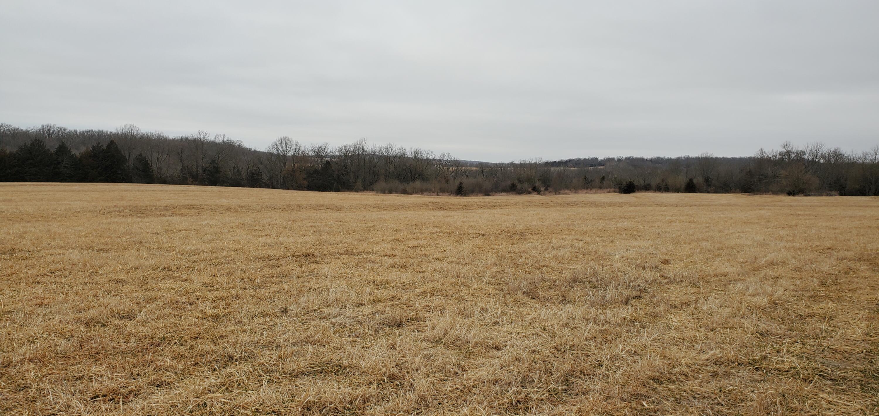 Photo 174 - Residential for sale – 4775 S 50th Road  Aldrich, MO