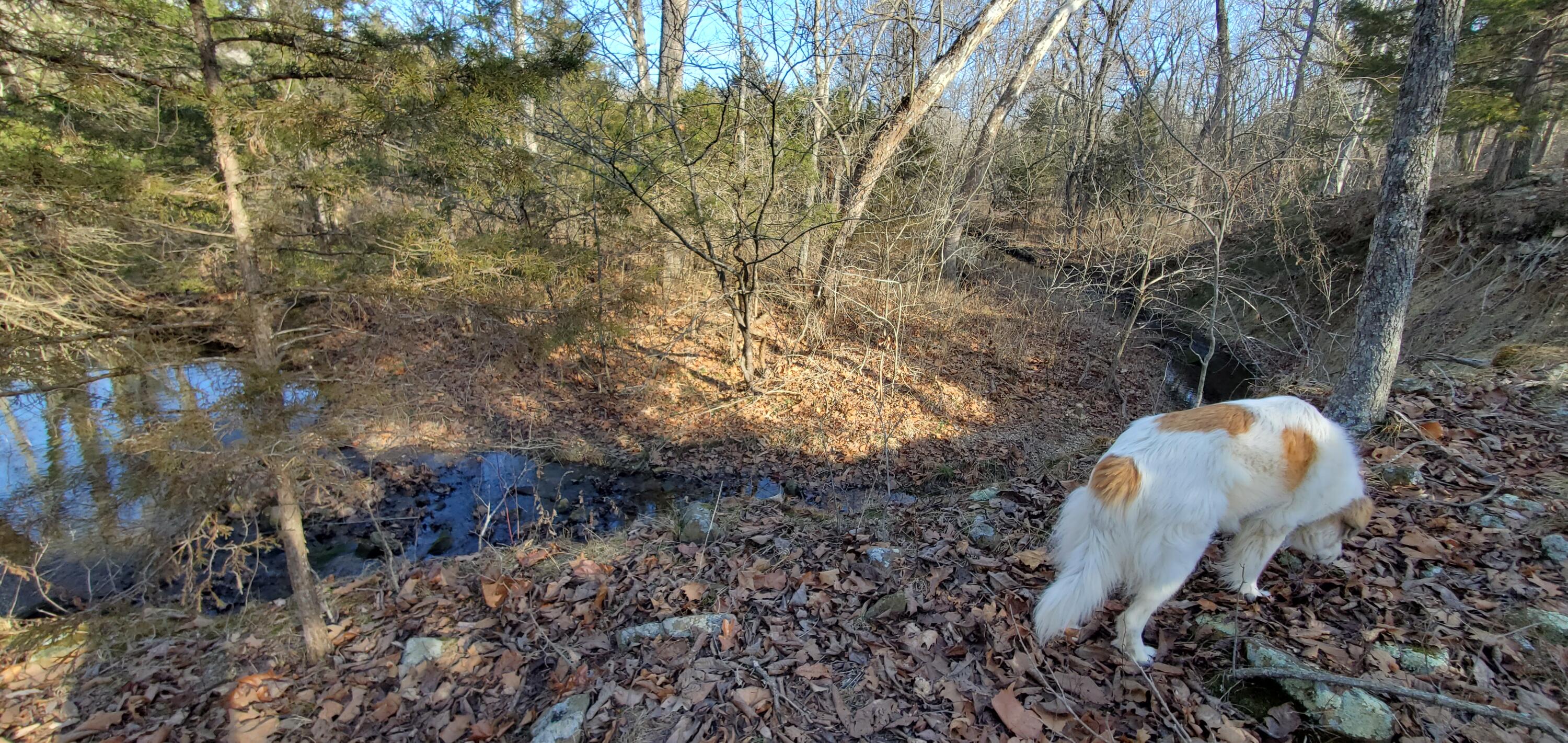 Photo 112 - Residential for sale – 4775 S 50th Road  Aldrich, MO