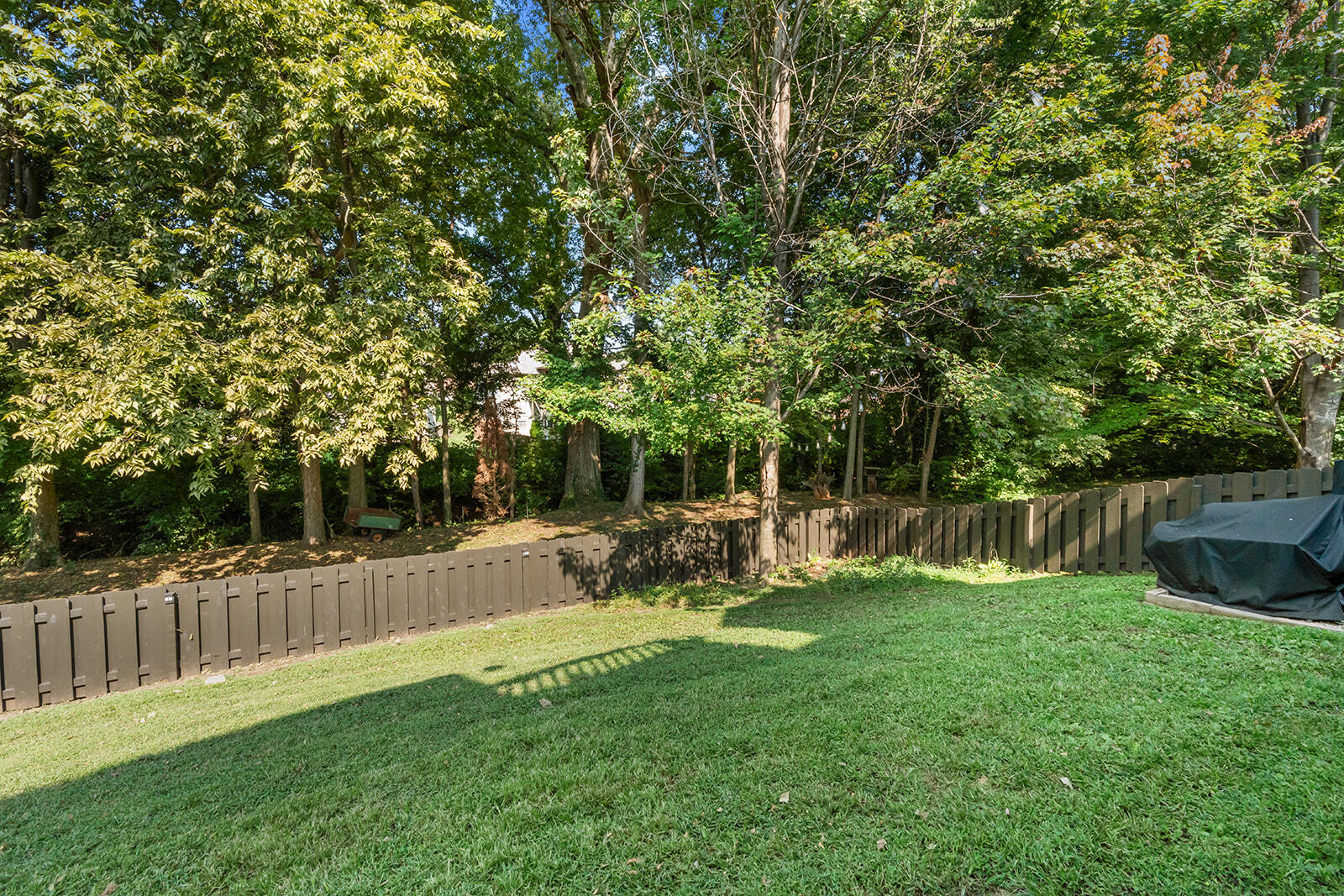 Photo 46 - Residential for sale – 5125 S Chatsworth Avenue  Springfield, MO