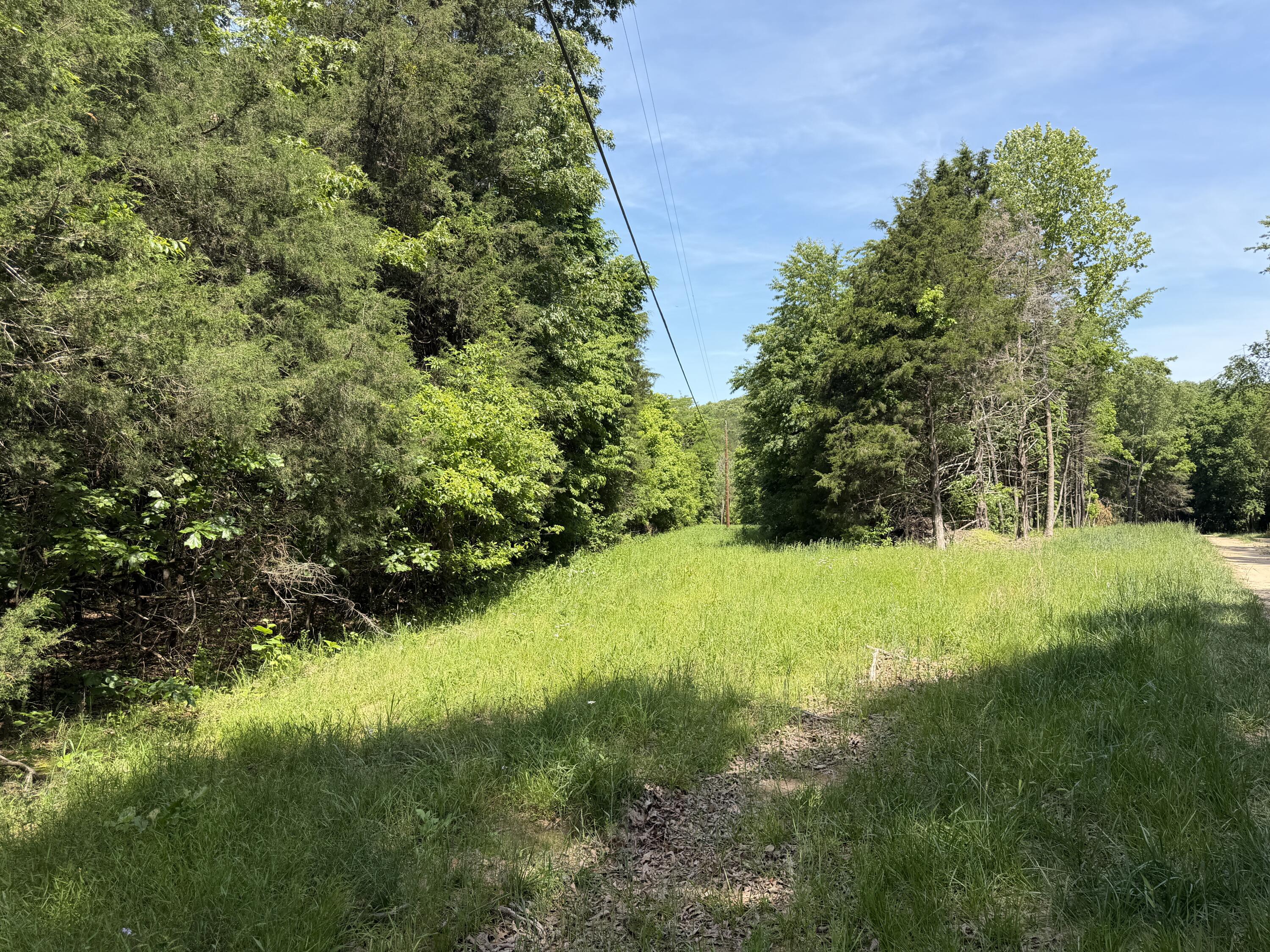 Photo 17 - Land for sale – 000  County Road 318   Tecumseh, MO