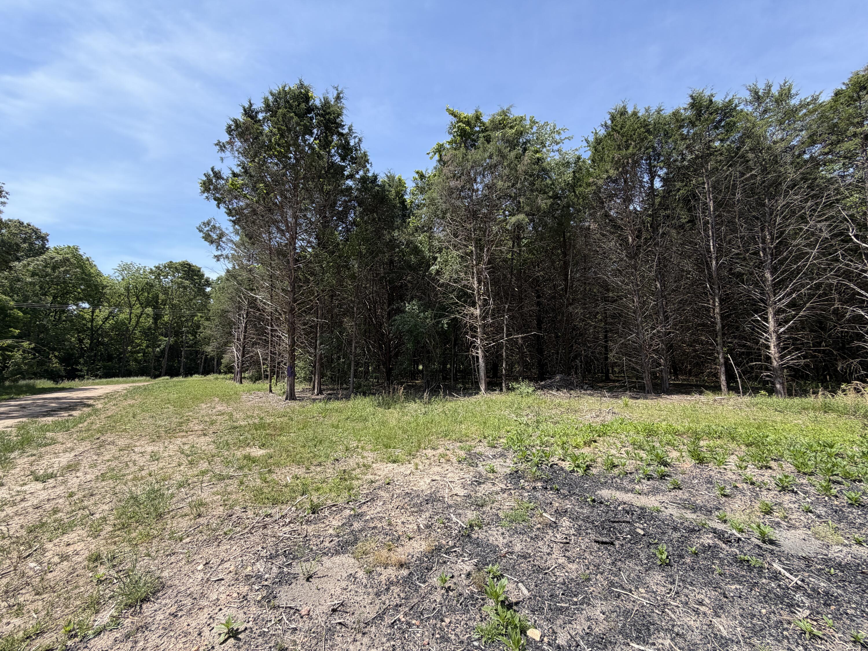 Photo 28 - Land for sale – 000  County Road 318   Tecumseh, MO