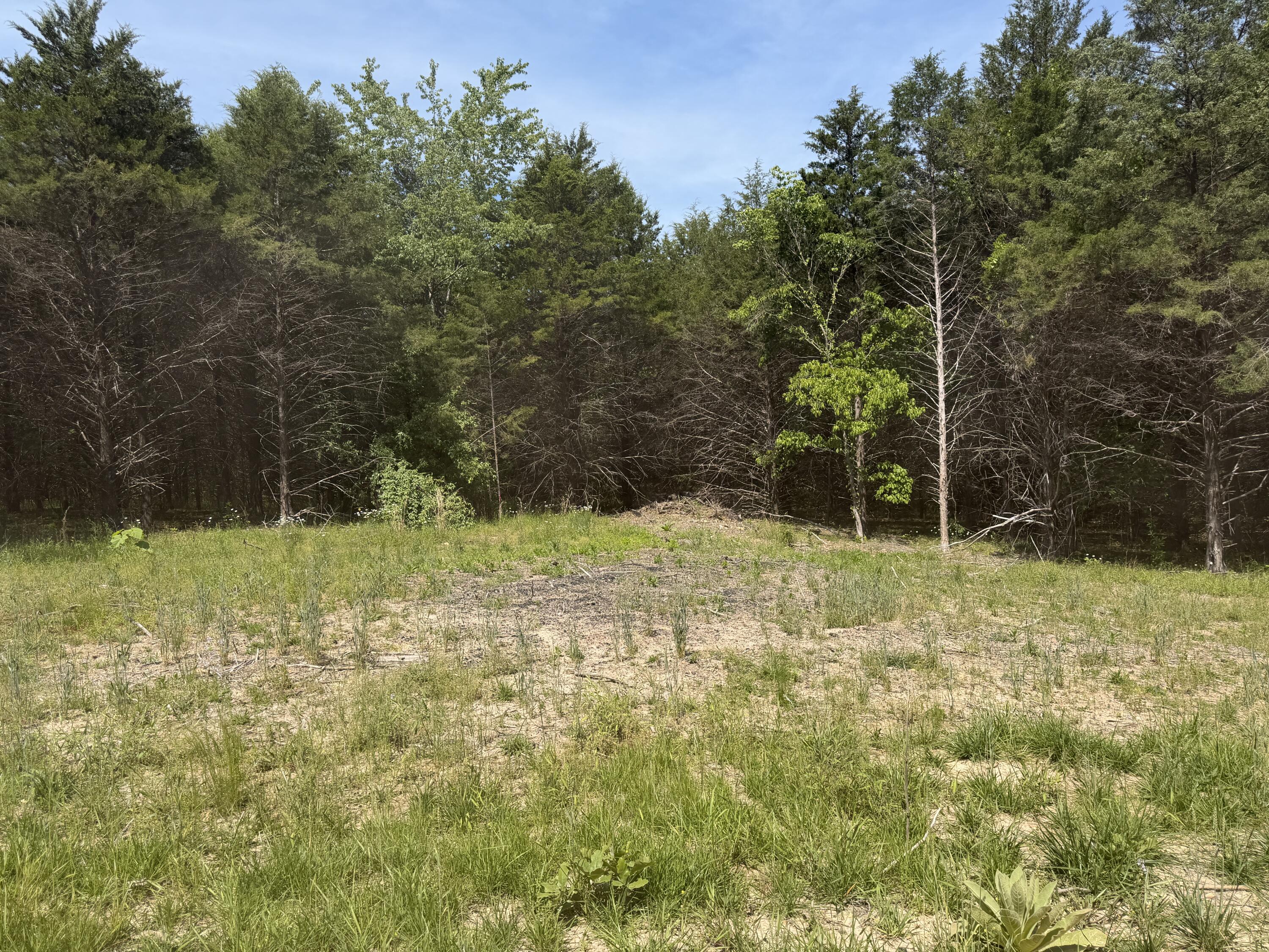 Photo 26 - Land for sale – 000  County Road 318   Tecumseh, MO