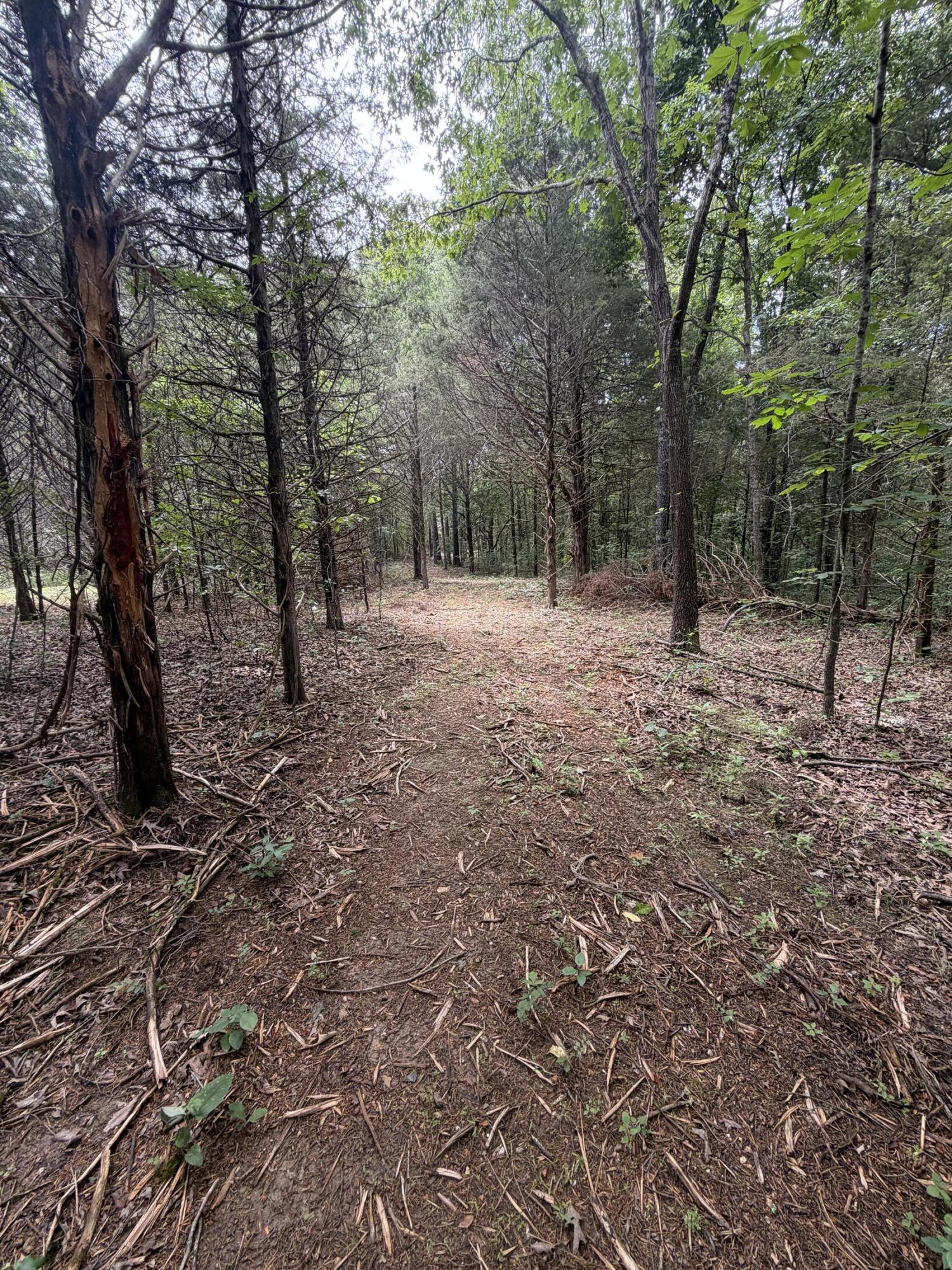 Photo 21 - Land for sale – 000  County Road 318   Tecumseh, MO