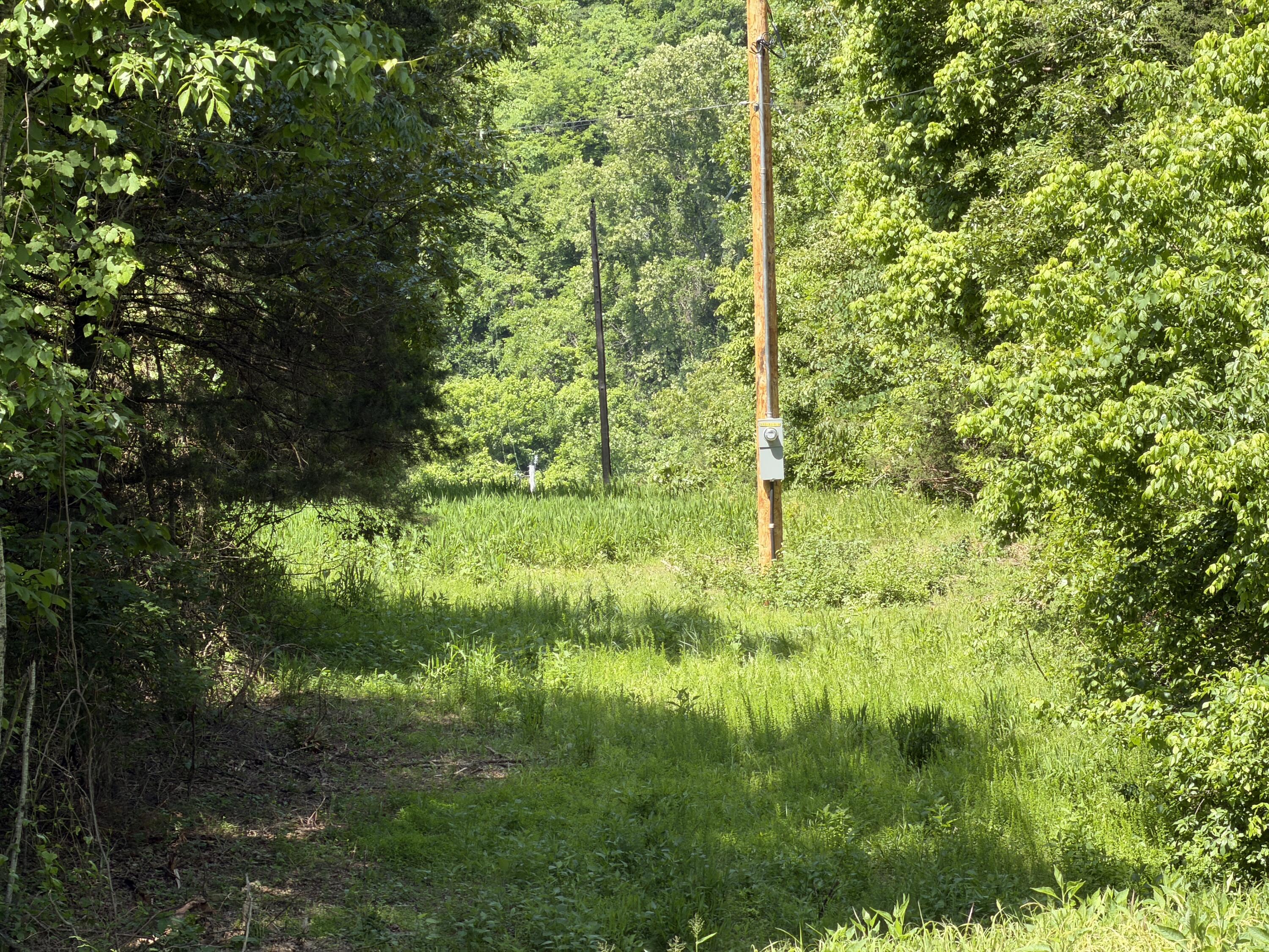 Photo 12 - Land for sale – 000  County Road 318   Tecumseh, MO